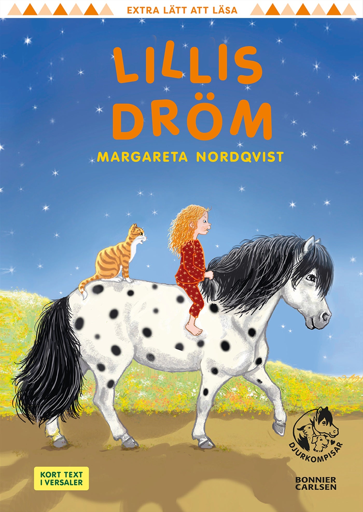Lillis dröm – E-bok