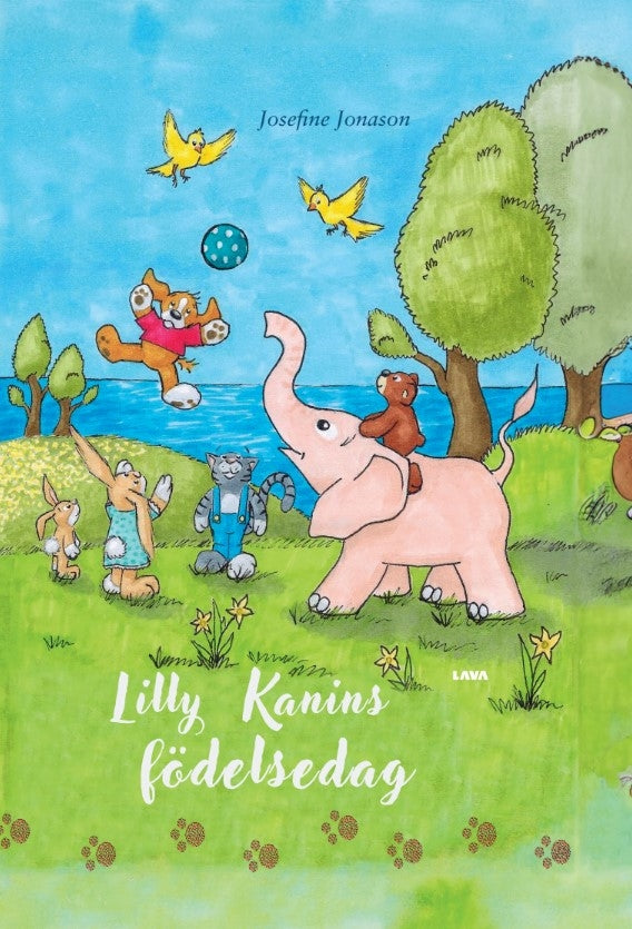 Lilly kanins födelsedag – E-bok