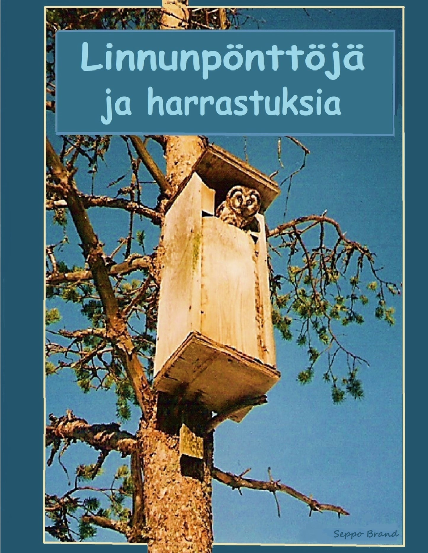 Linnnunpönttöjä ja harrastuksia – E-bok