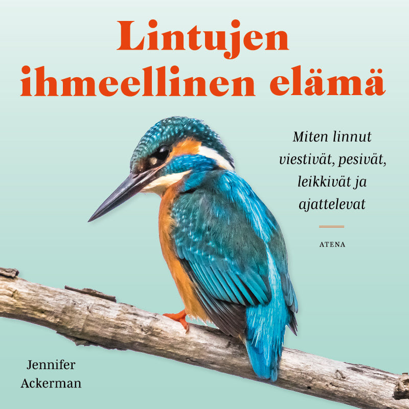 Lintujen ihmeellinen elämä – Ljudbok