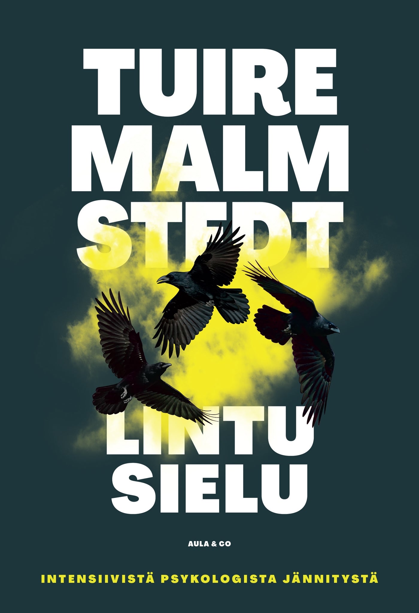 Lintusielu – E-bok