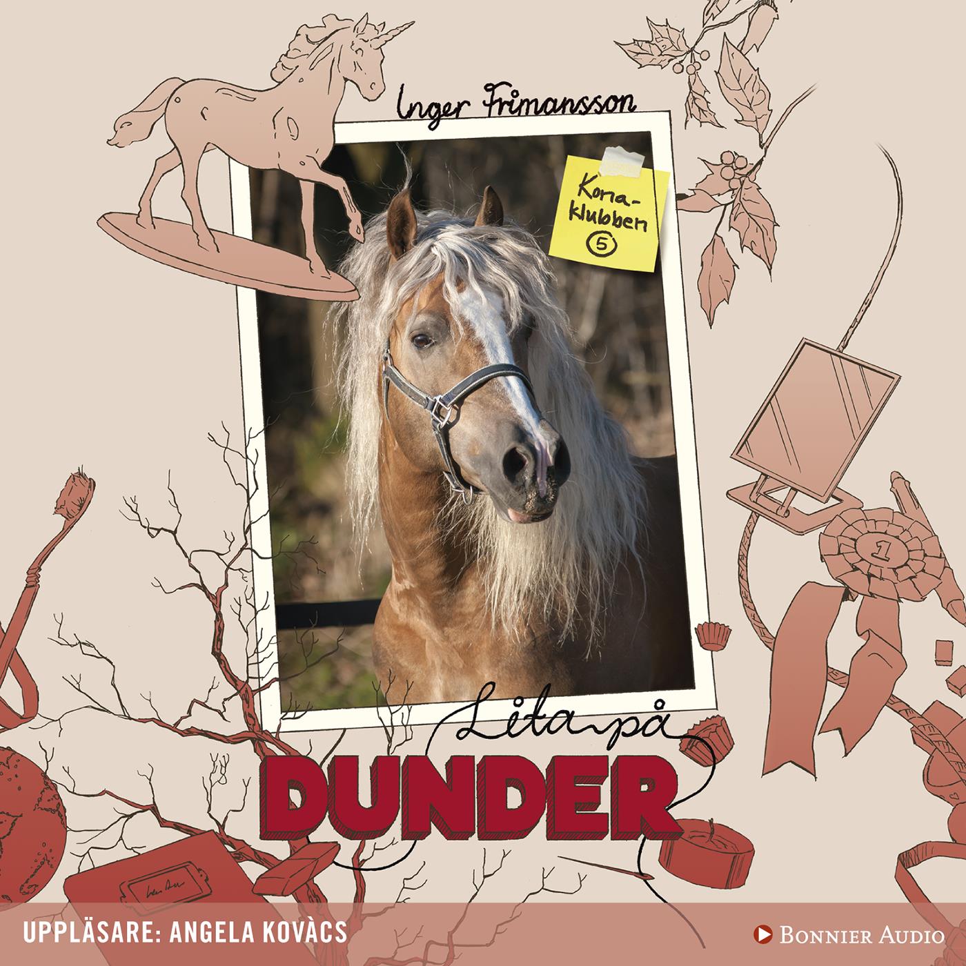 Lita på Dunder – Ljudbok