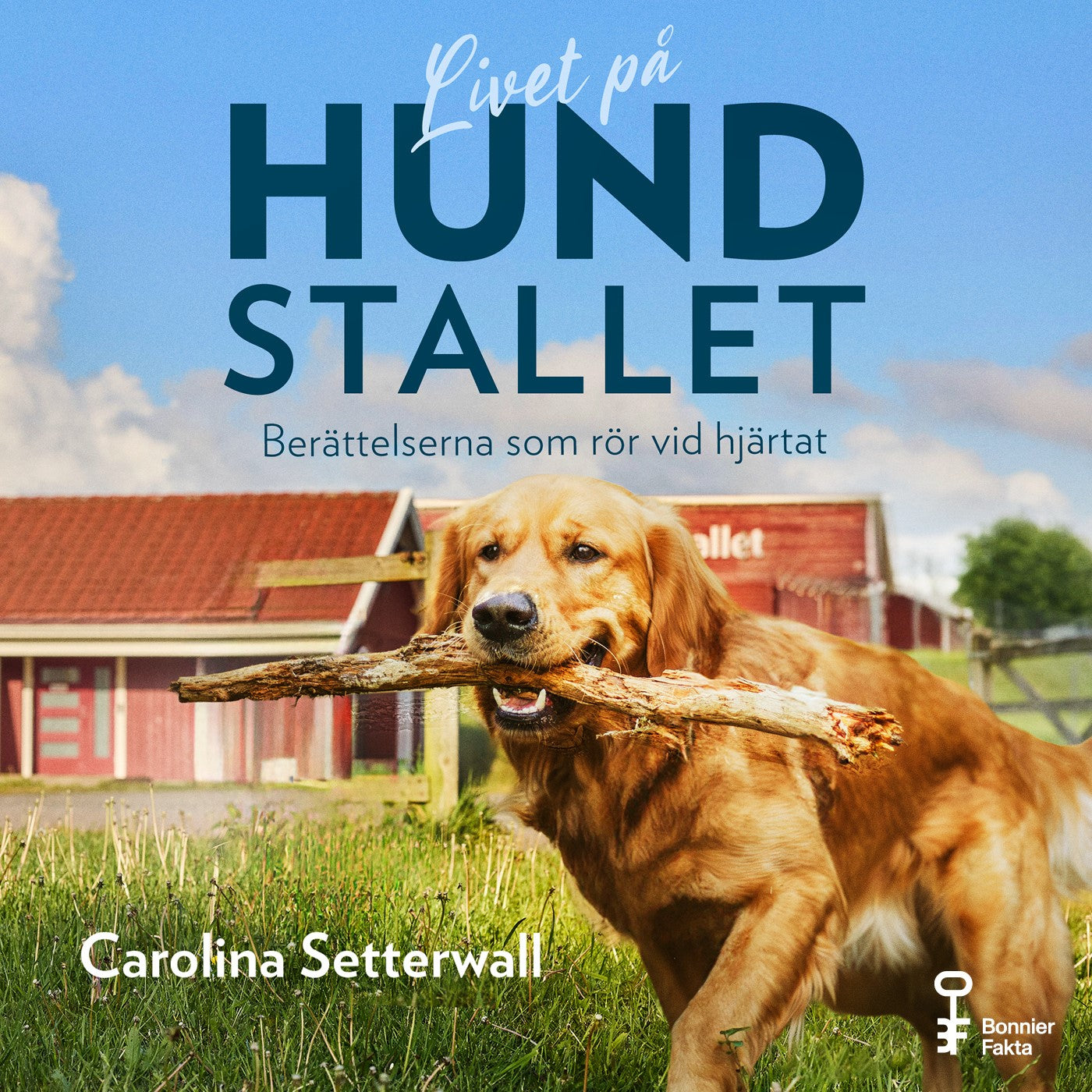 Livet på Hundstallet : berättelserna som rör vid hjärtat – Ljudbok