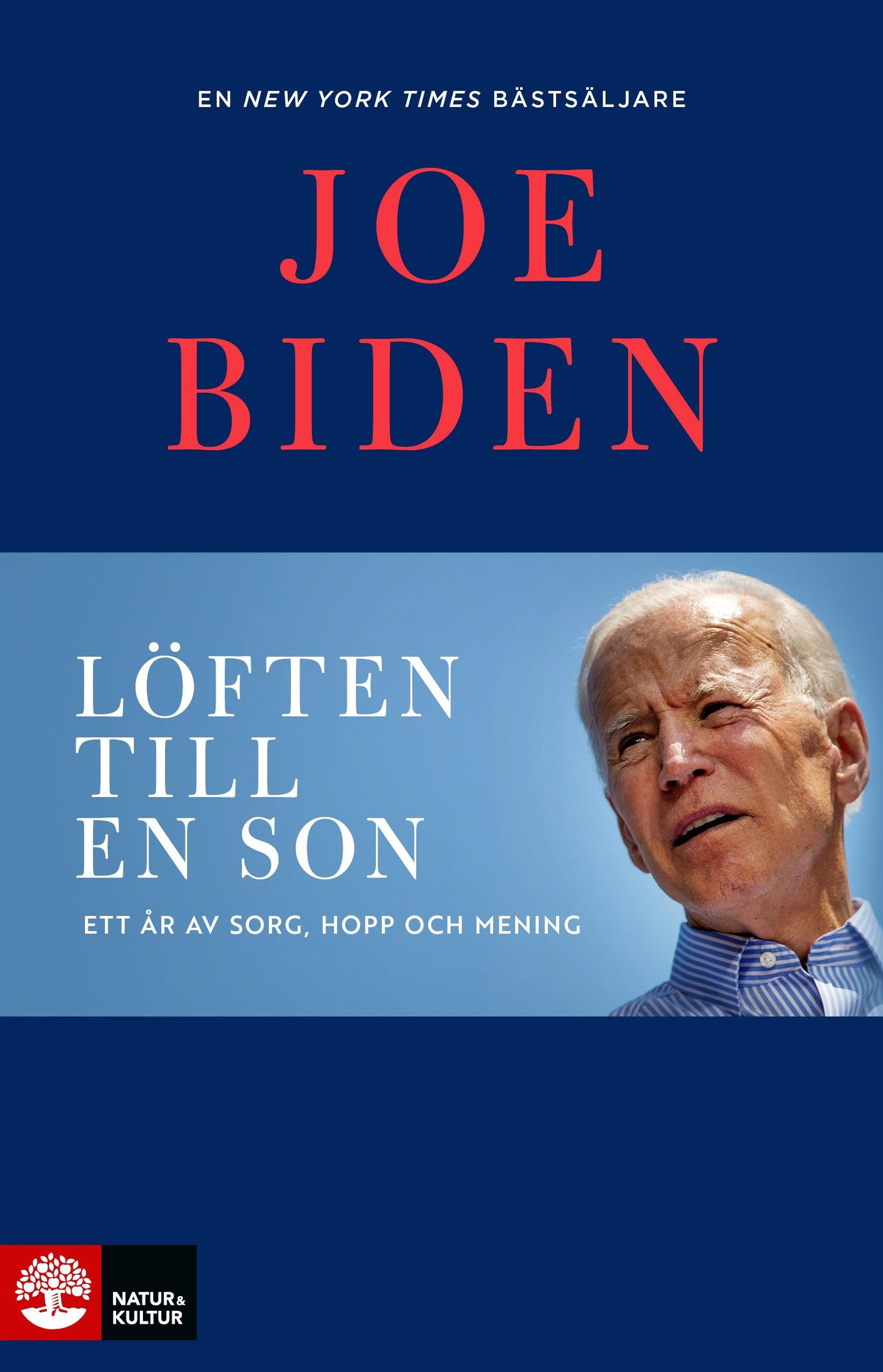 Löften till en son : ett år av sorg, hopp och mening – E-bok
