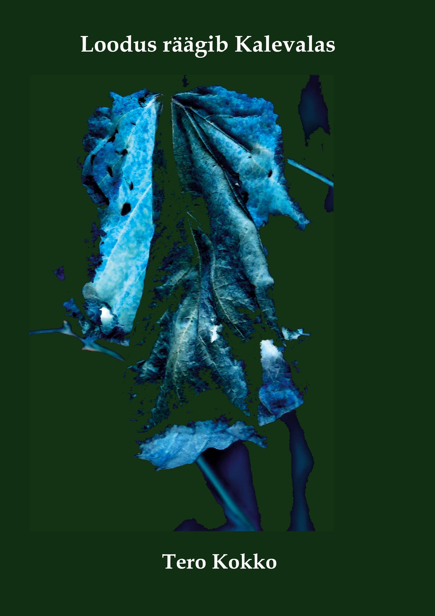 Loodus räägib Kalevala – E-bok