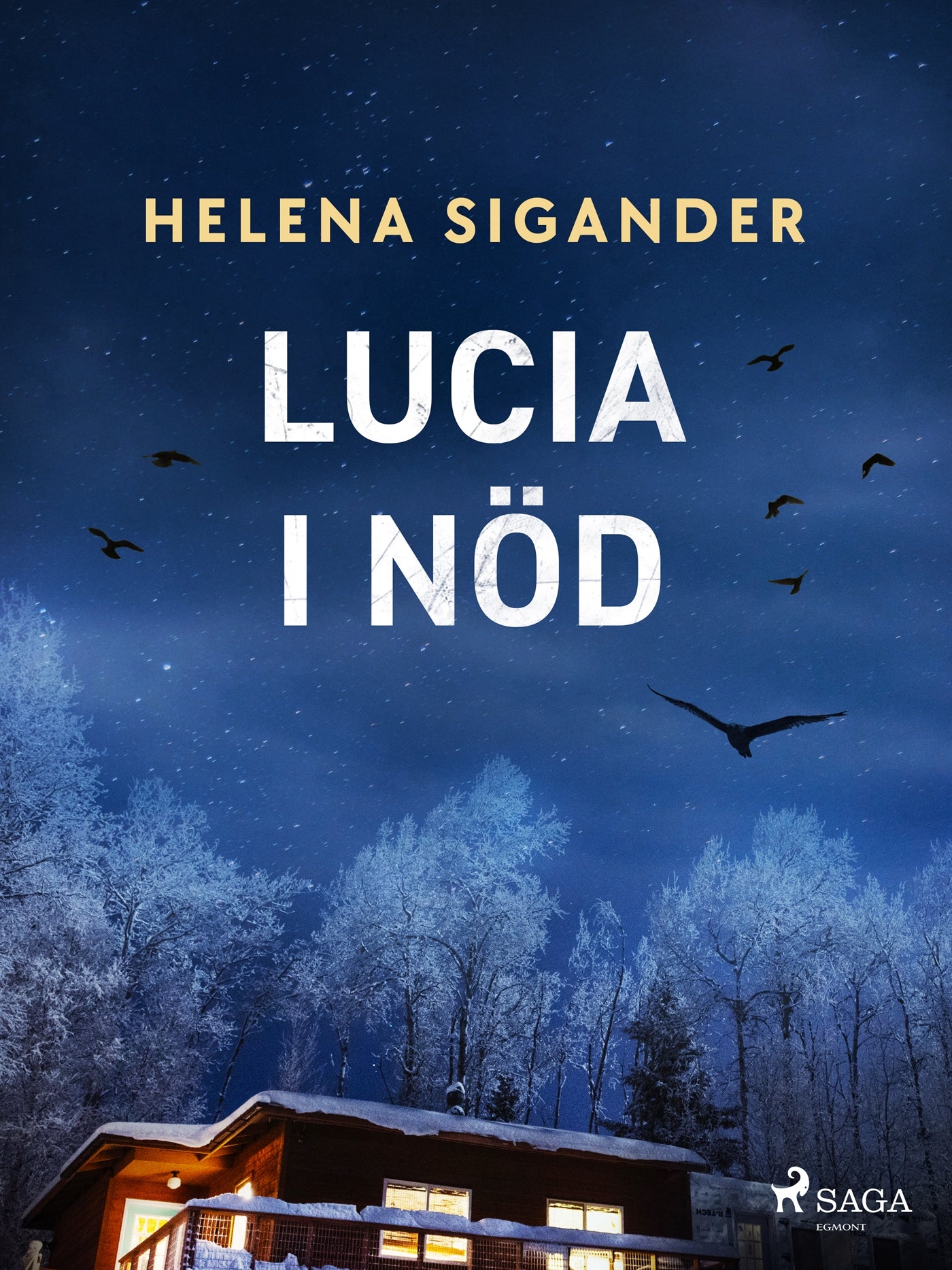Lucia i nöd – E-bok