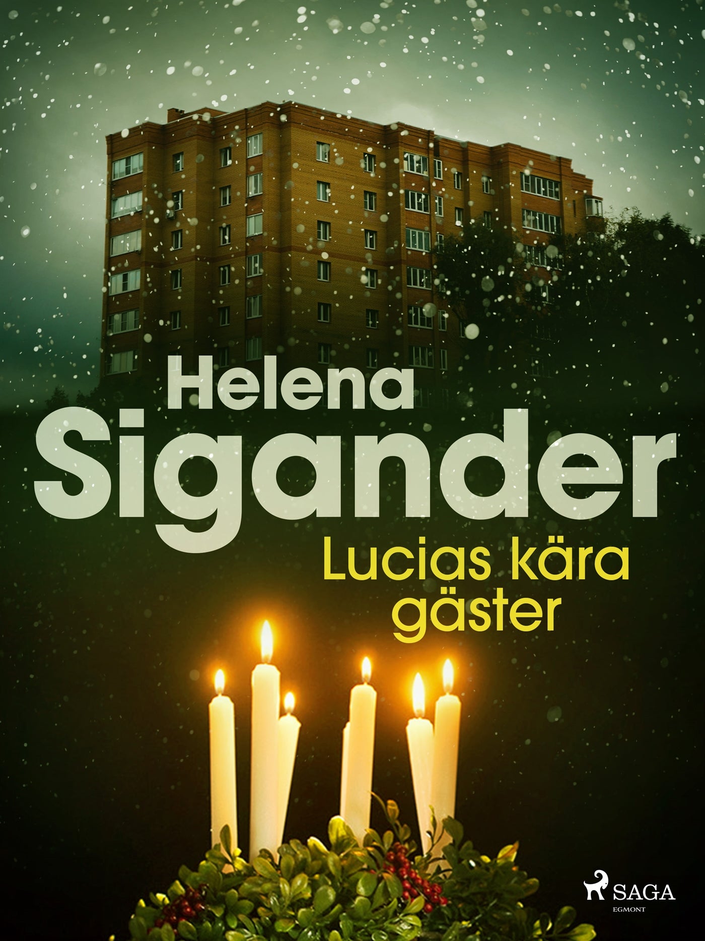 Lucias kära gäster – E-bok