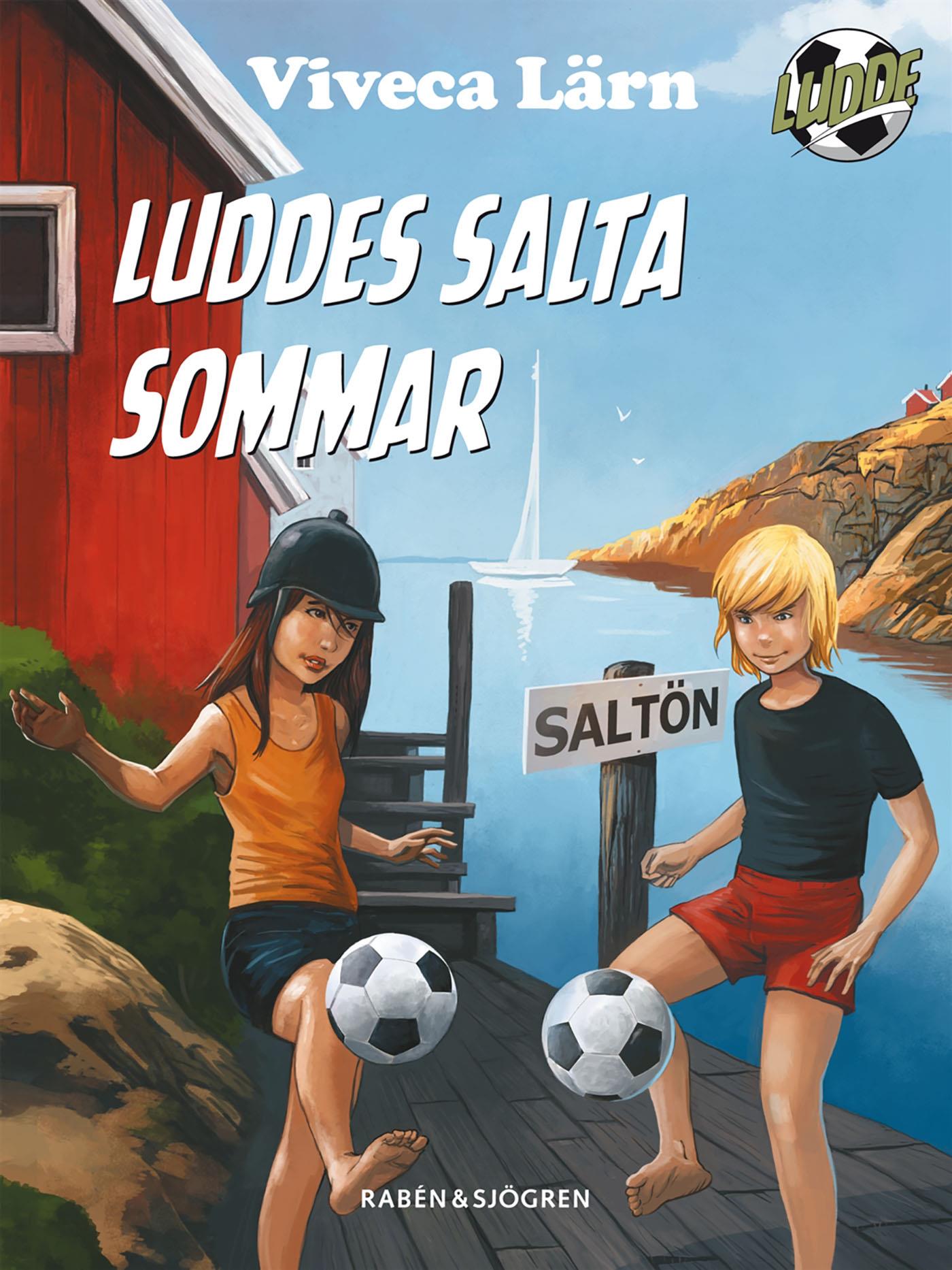 Luddes salta sommar – E-bok