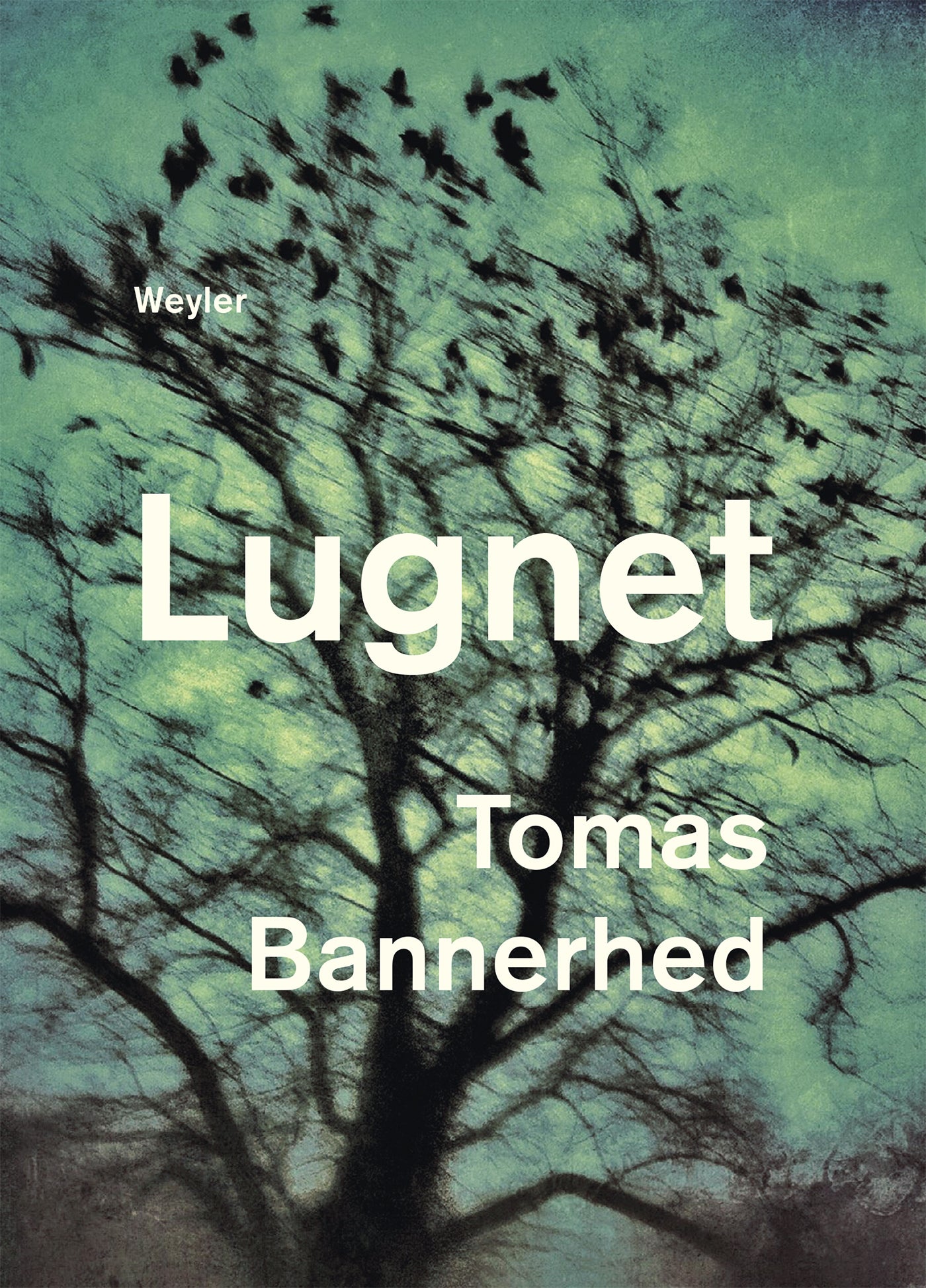 Lugnet – E-bok