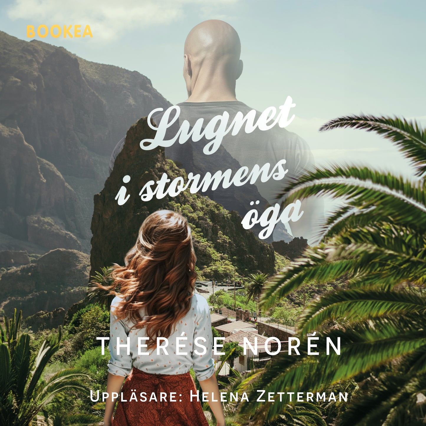Lugnet i stormens öga – Ljudbok