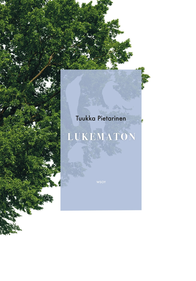 Lukematon – E-bok