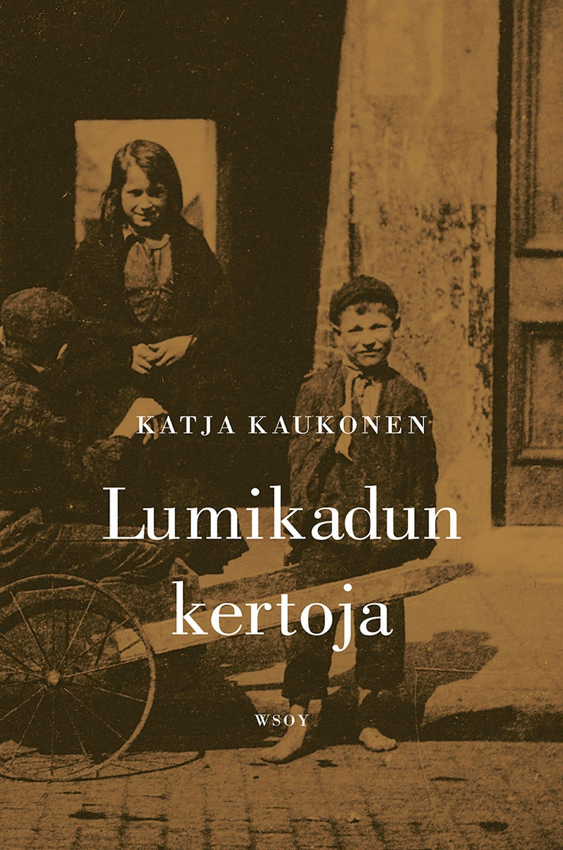 Lumikadun kertoja – E-bok