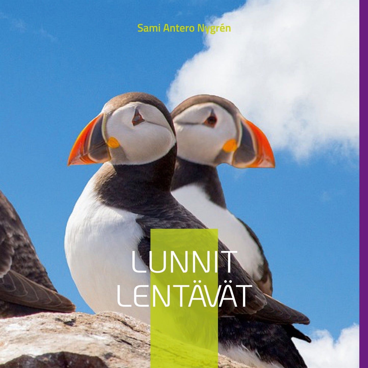 Lunnit Lentävät – E-bok