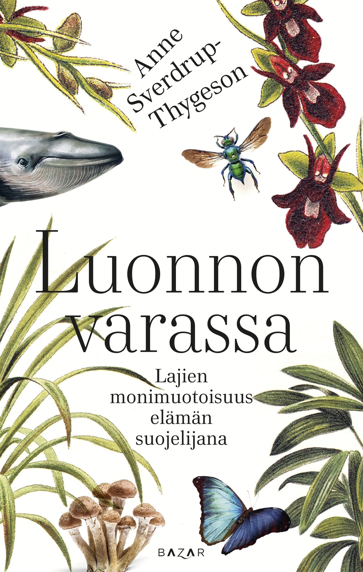 Luonnon varassa – E-bok
