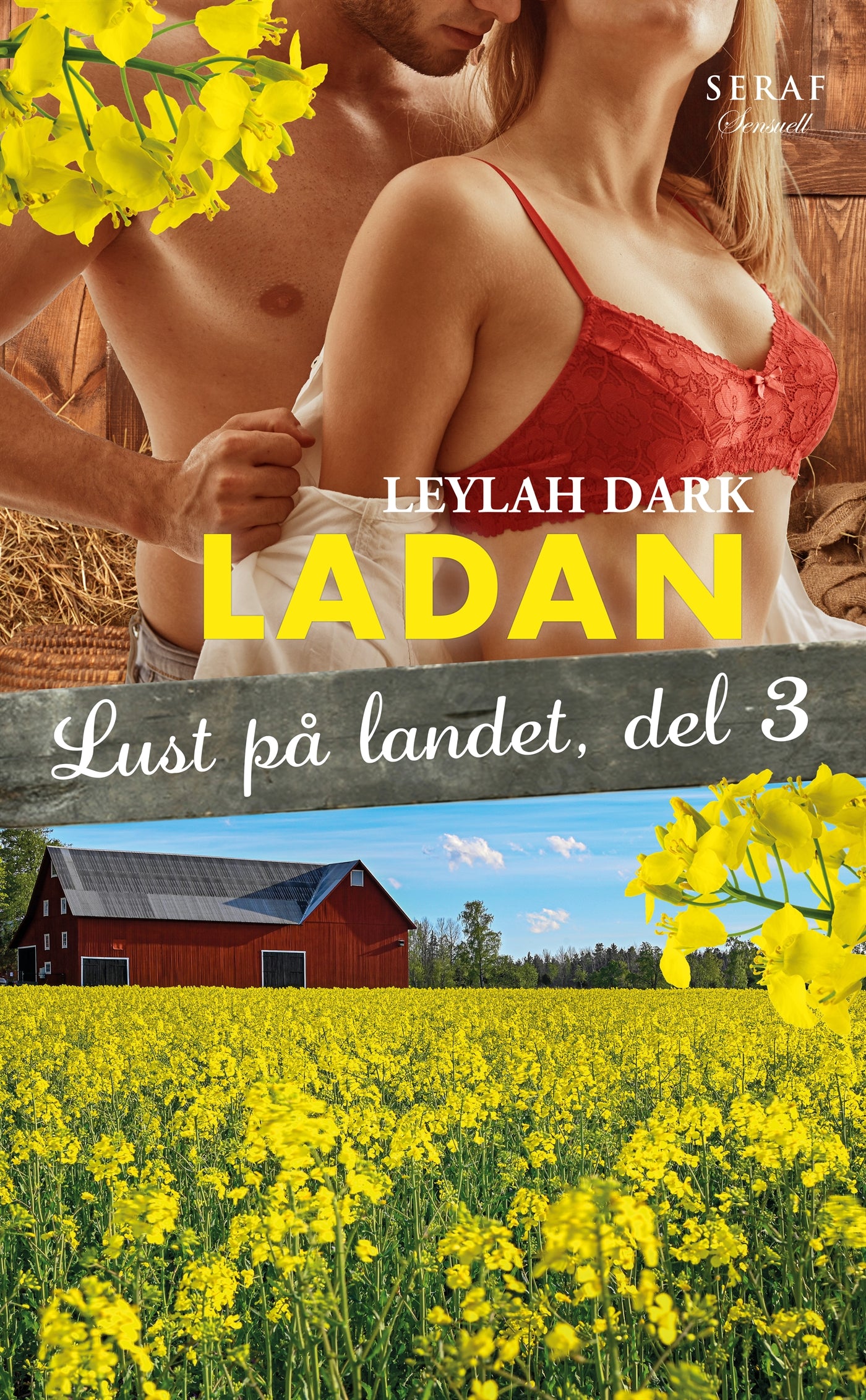 Lust på landet 3: Ladan – E-bok
