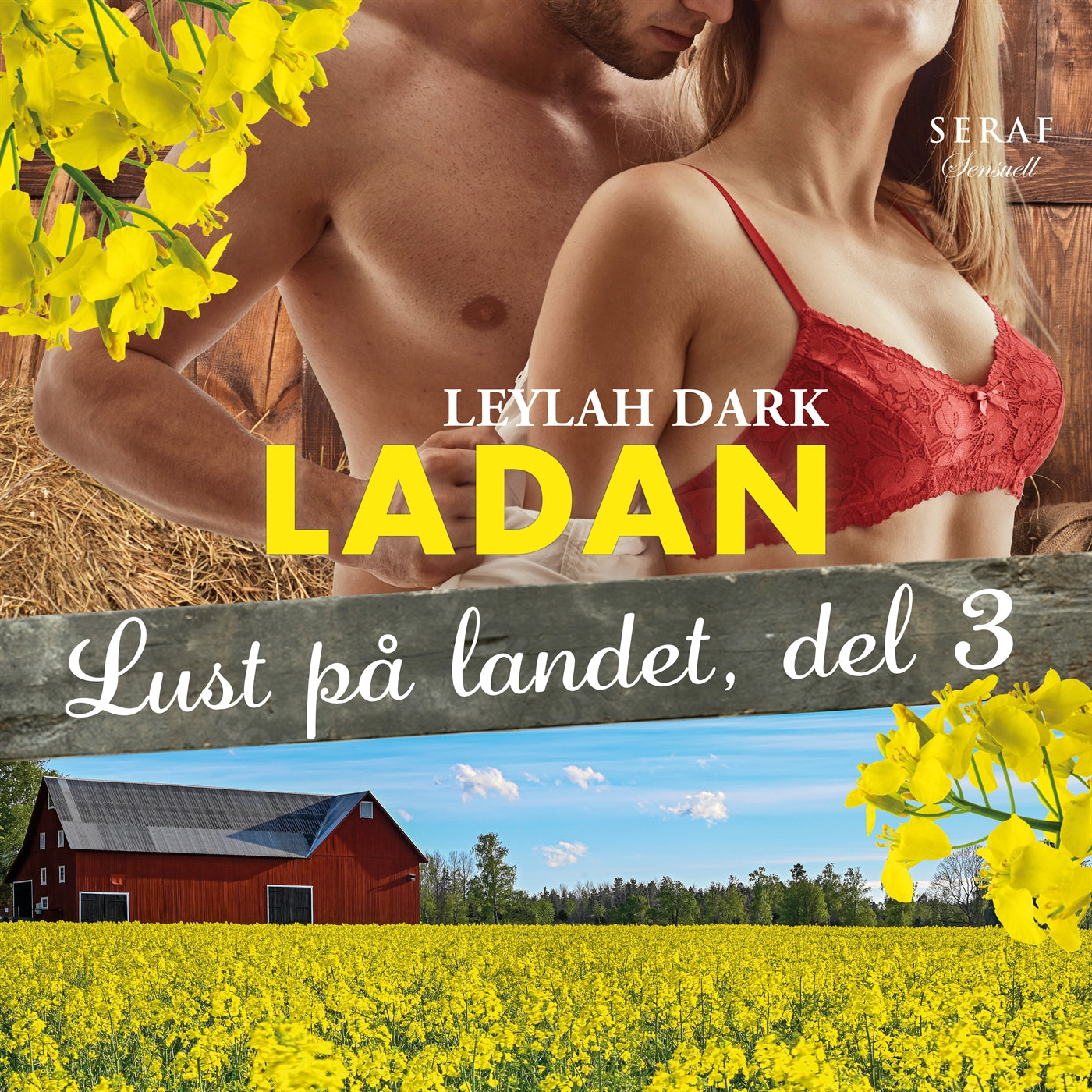 Lust på landet 3: Ladan – Ljudbok
