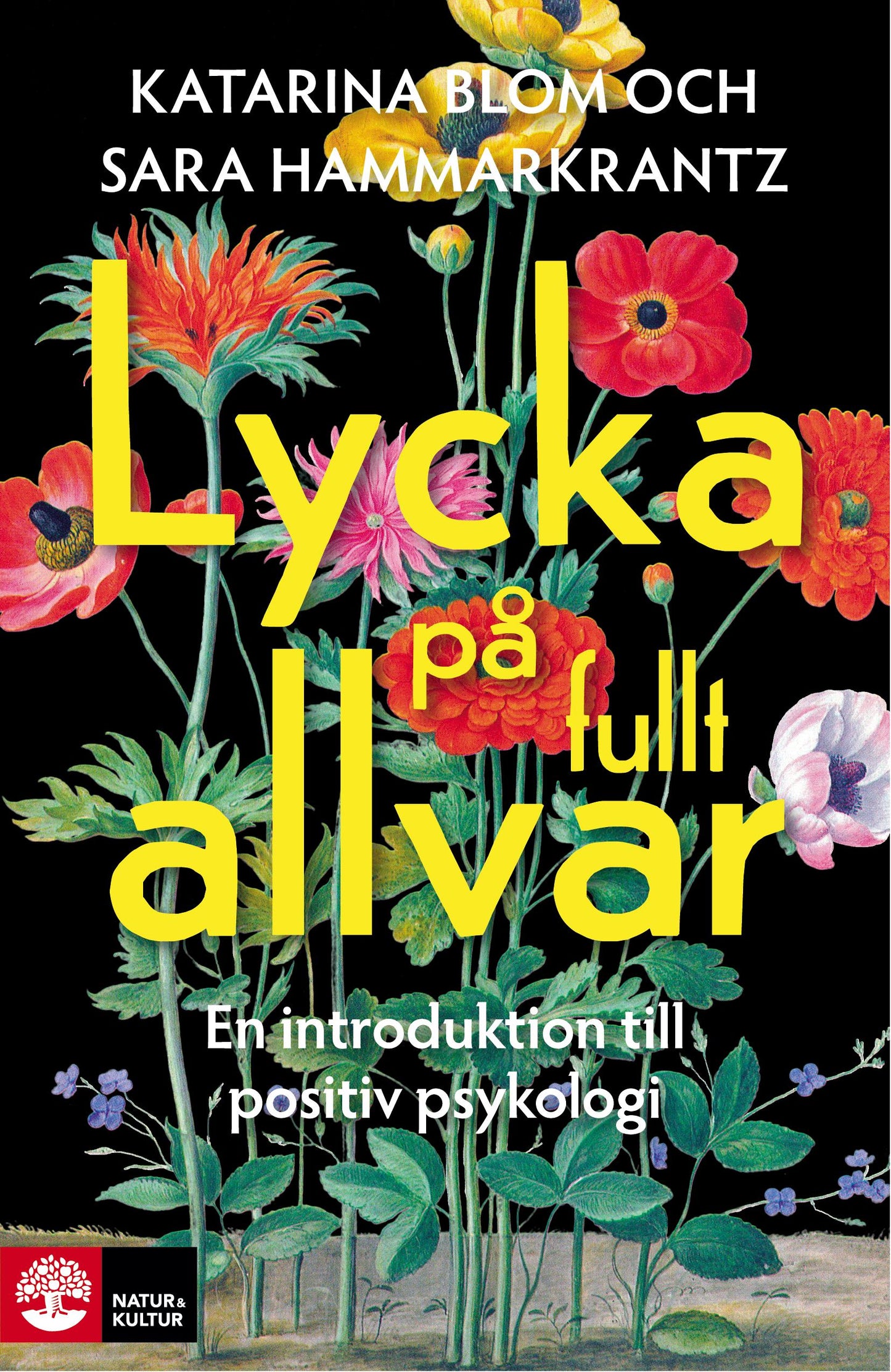 Lycka på fullt allvar : en introduktion till positiv psykologi – E-bok