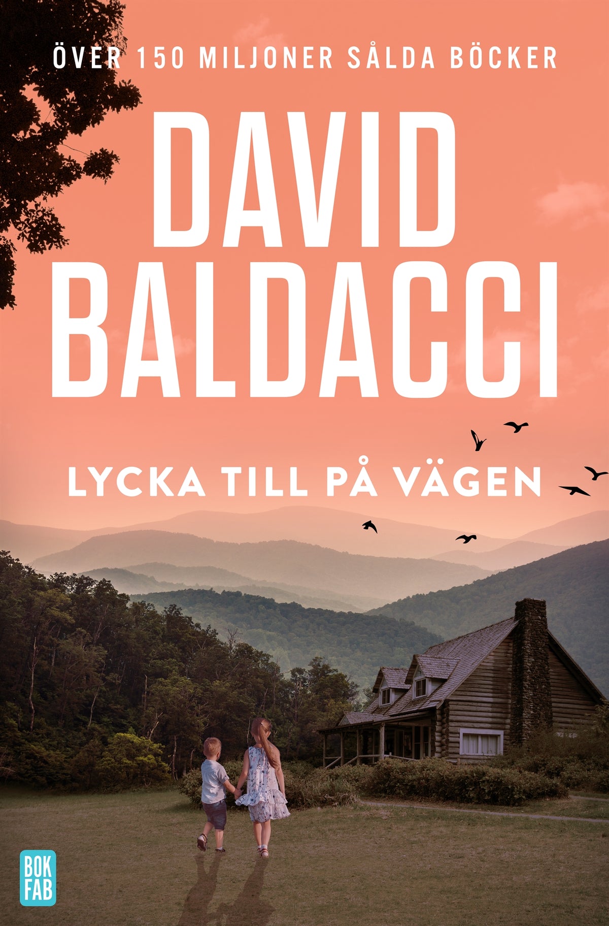 Lycka till på vägen – E-bok
