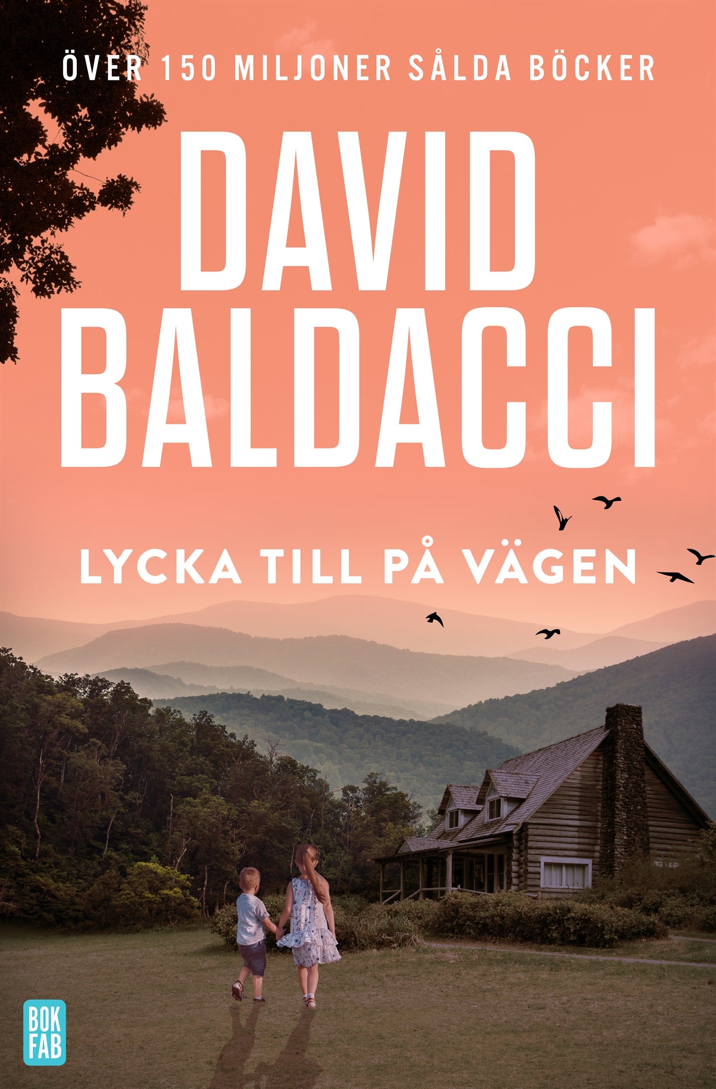 Lycka till på vägen – E-bok
