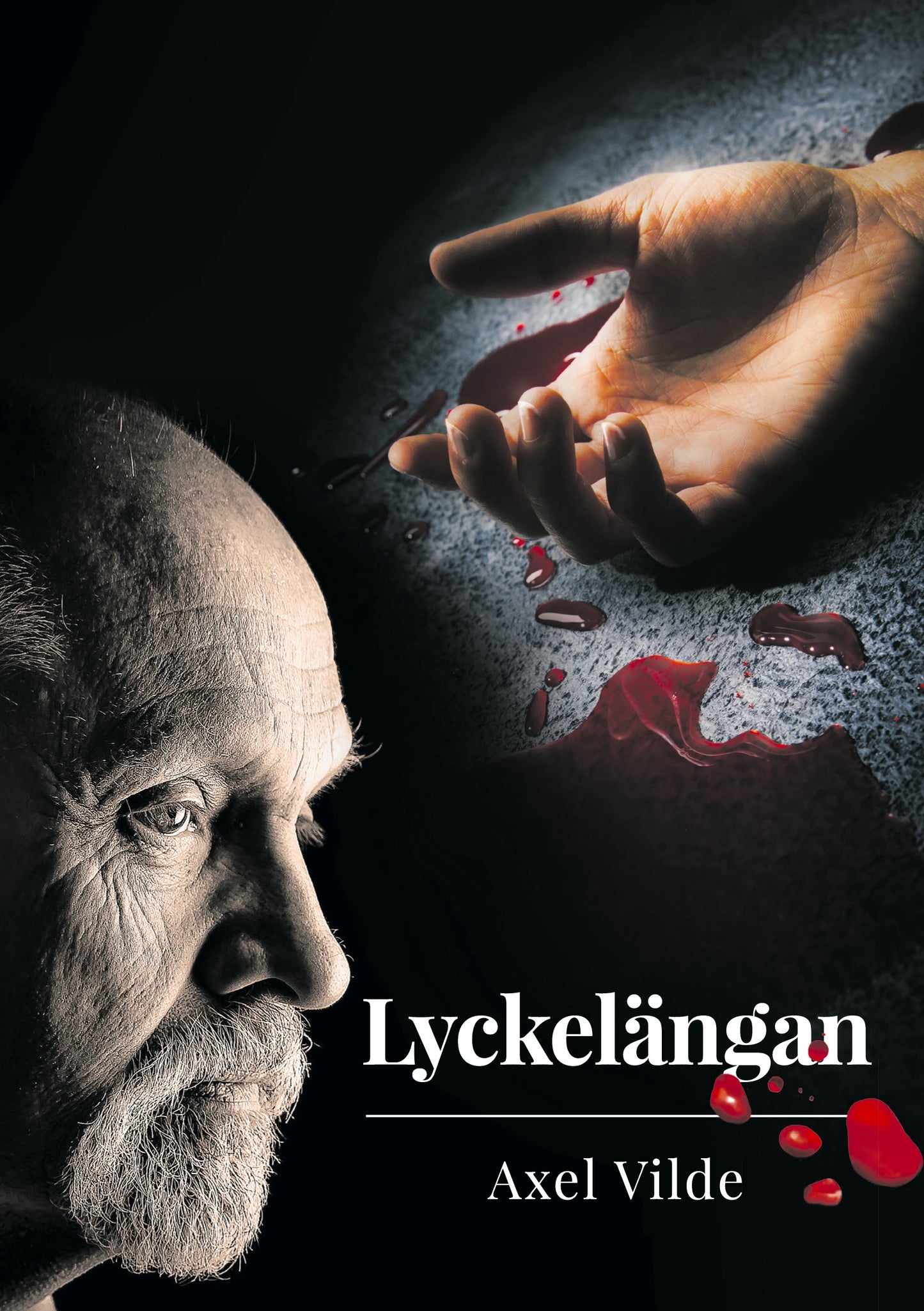 Lyckelängan – E-bok