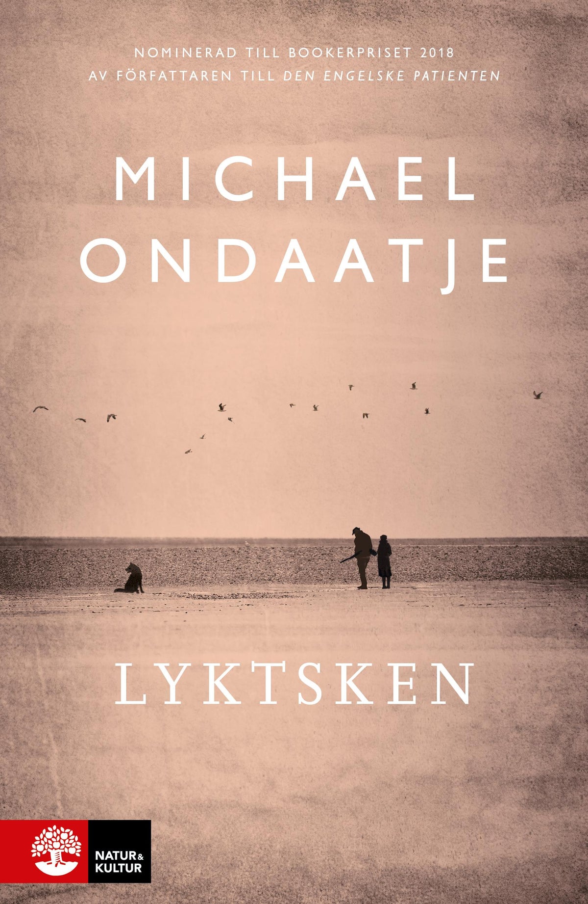 Lyktsken – E-bok