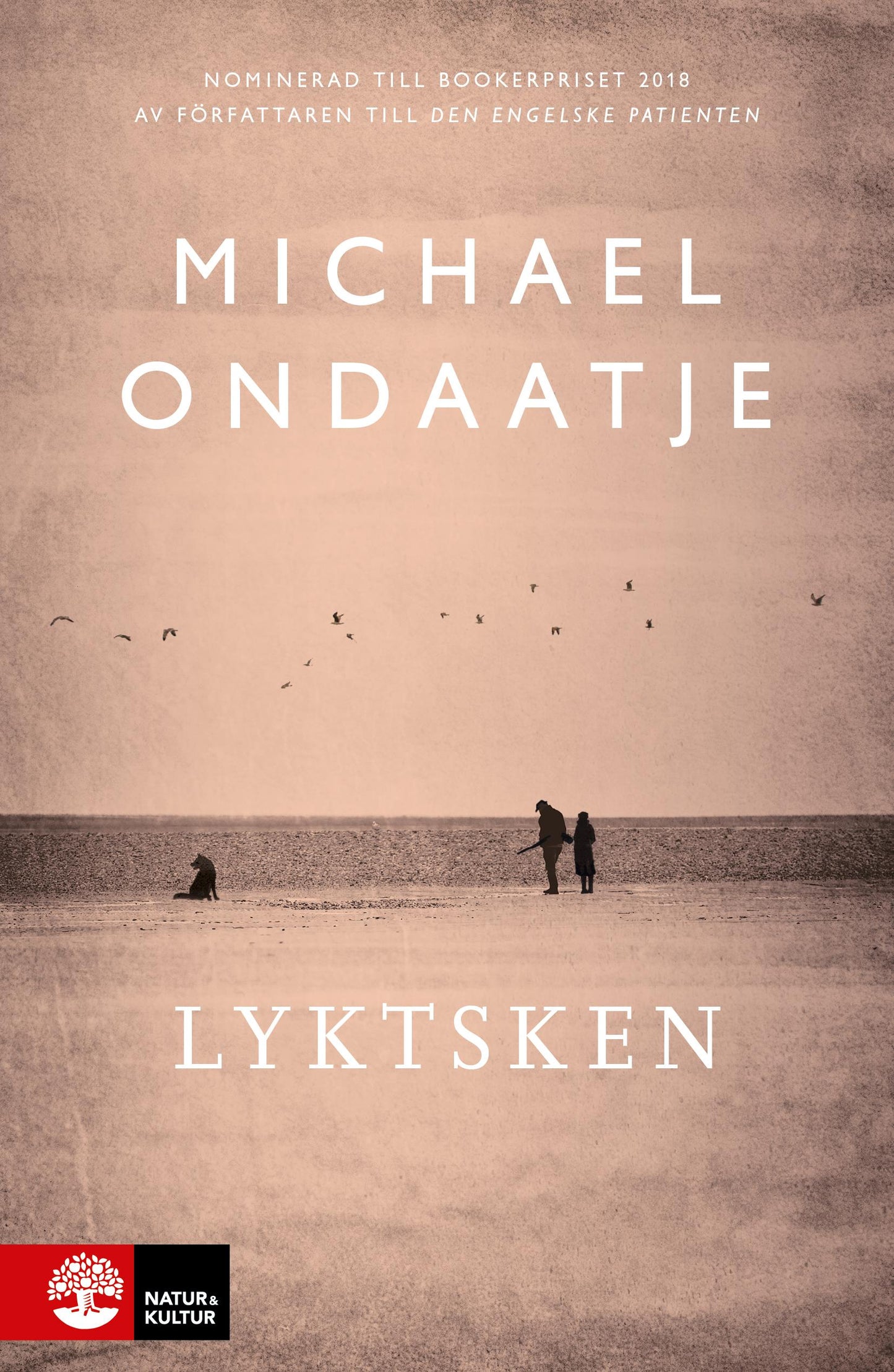 Lyktsken – E-bok