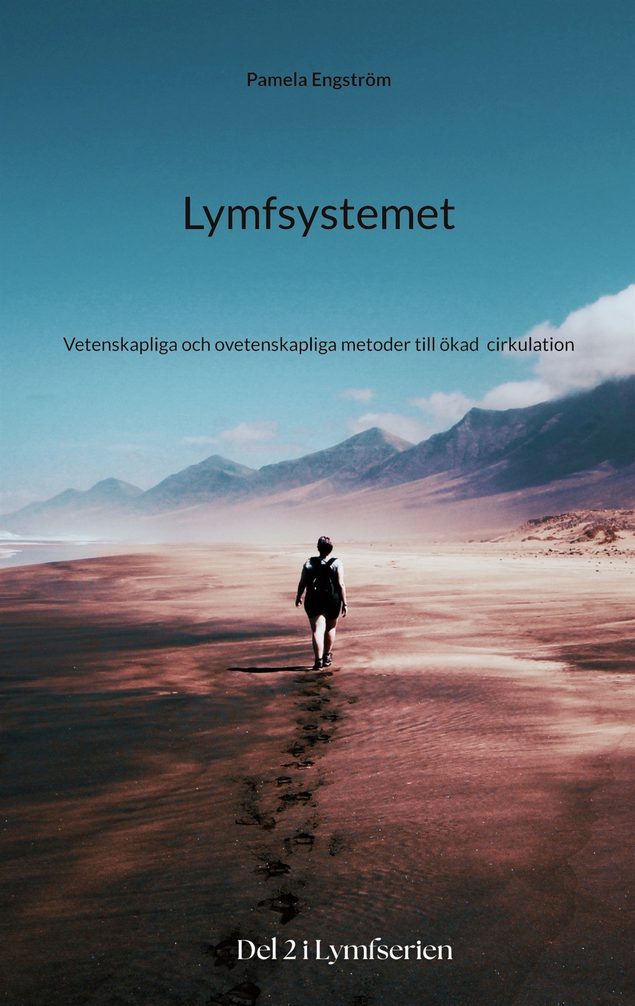 Lymfsystemet: Vetenskapliga och ovetenskapliga metoder till ökad cirkulation – E-bok