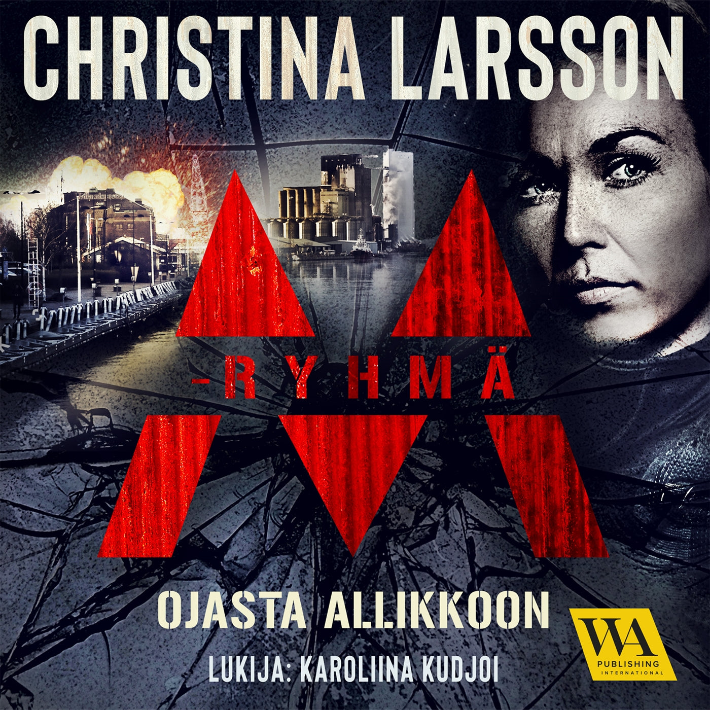 M-ryhmä - Ojasta allikkoon – Ljudbok