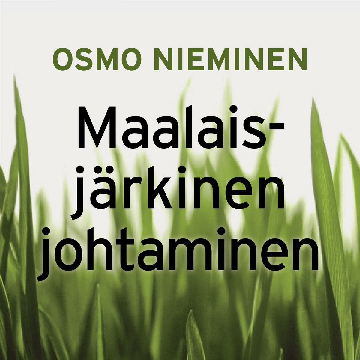 Maalaisjärkinen johtaminen – Ljudbok