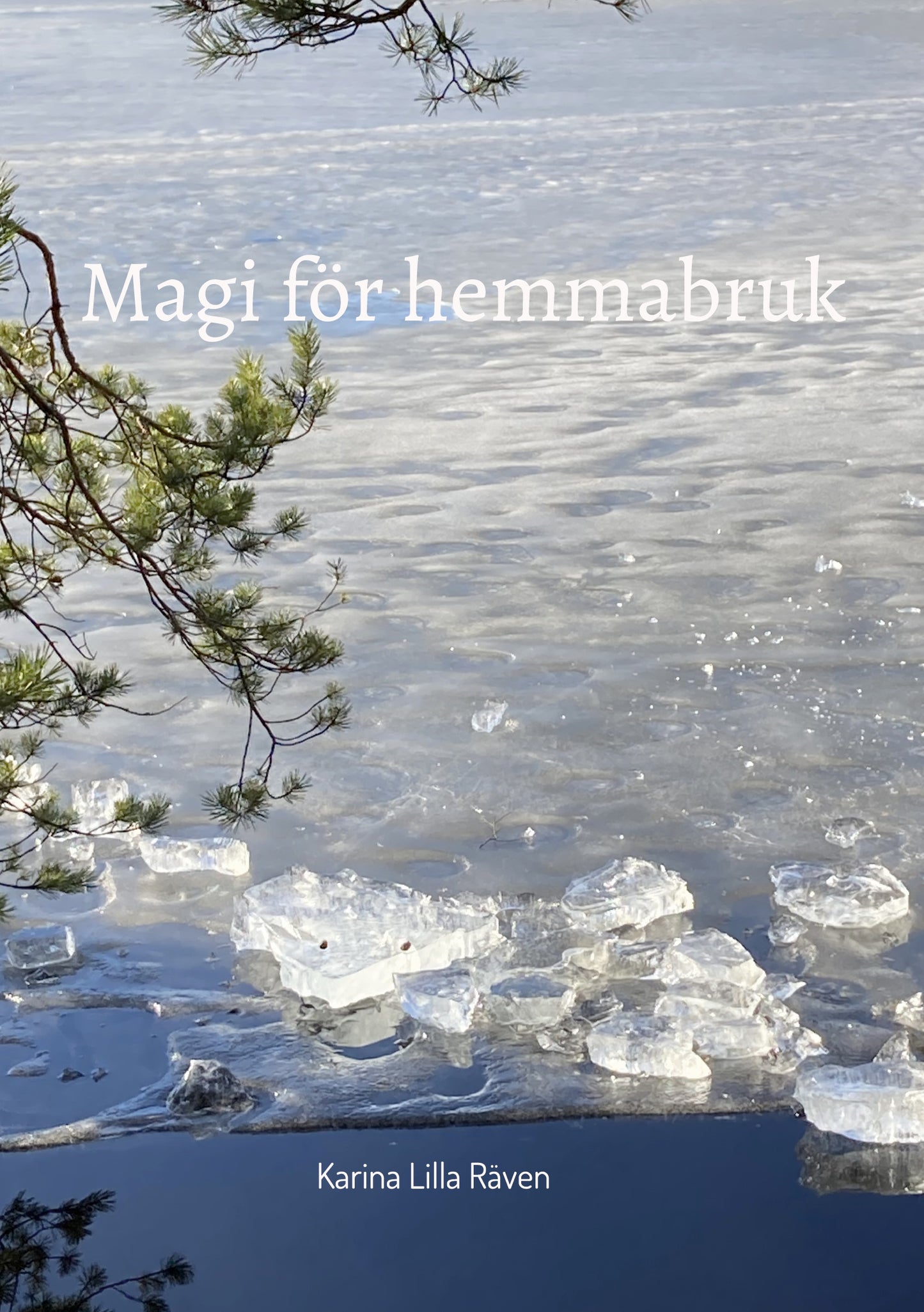 Magi för hemmabruk – E-bok