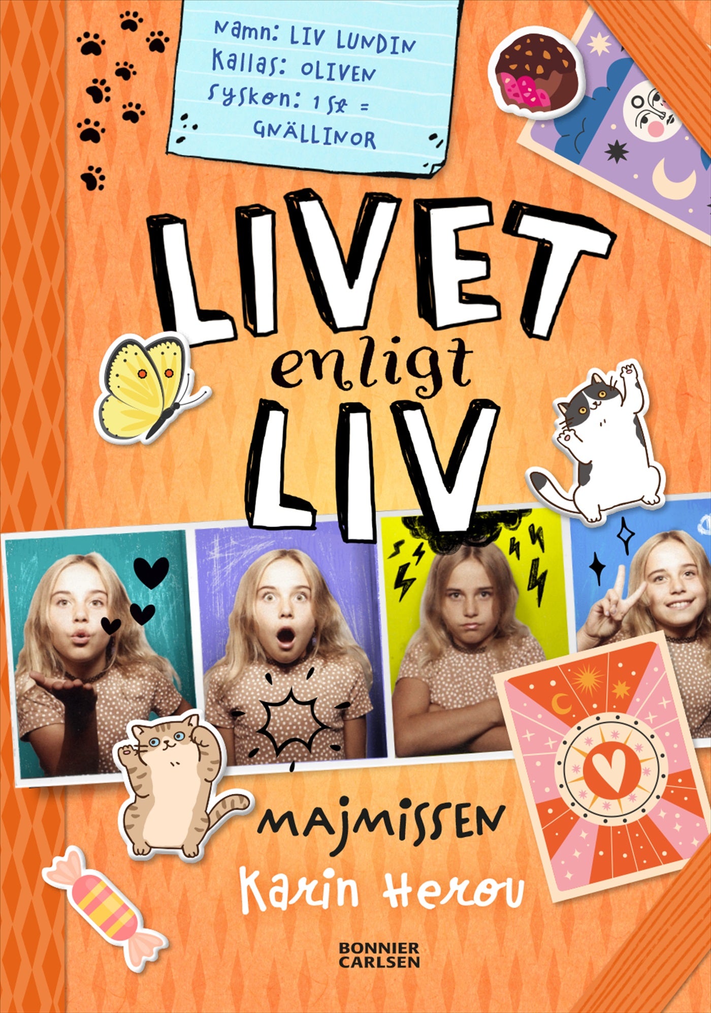 Majmissen – E-bok