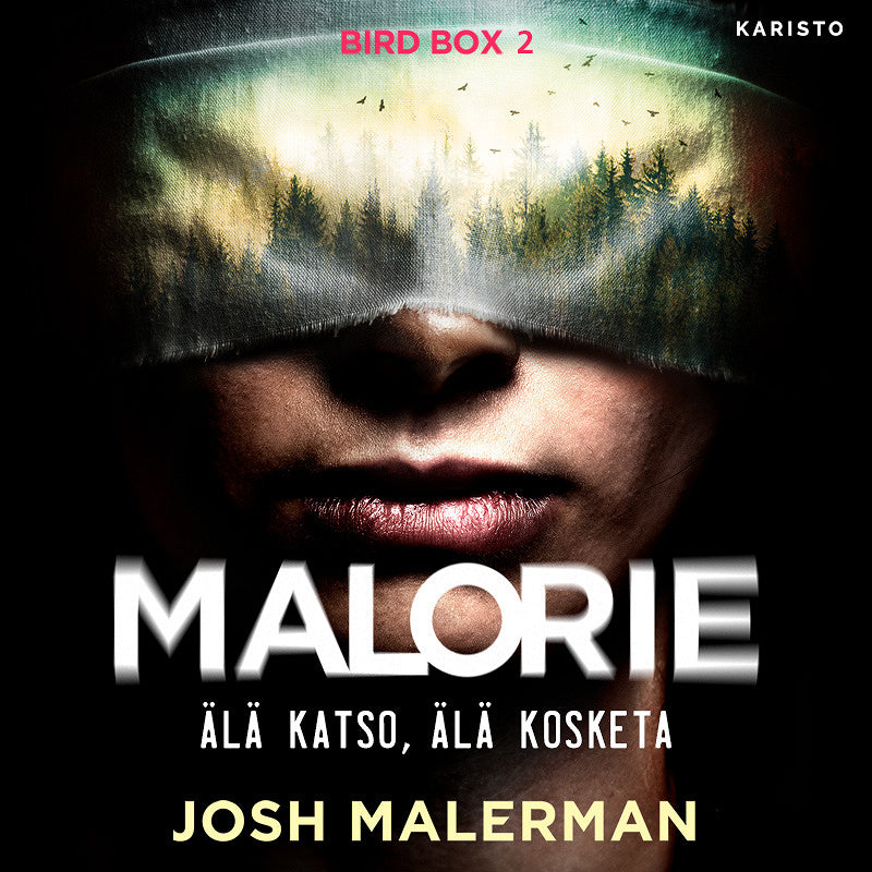 Malorie - Älä katso, älä kosketa – Ljudbok