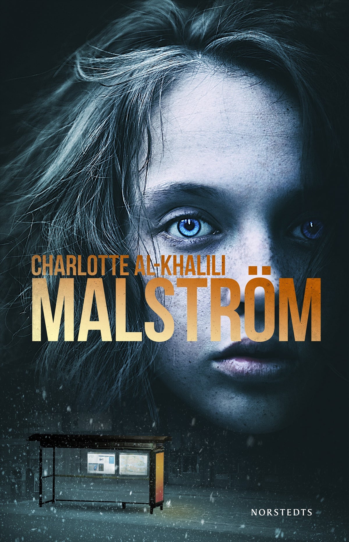 Malström – E-bok