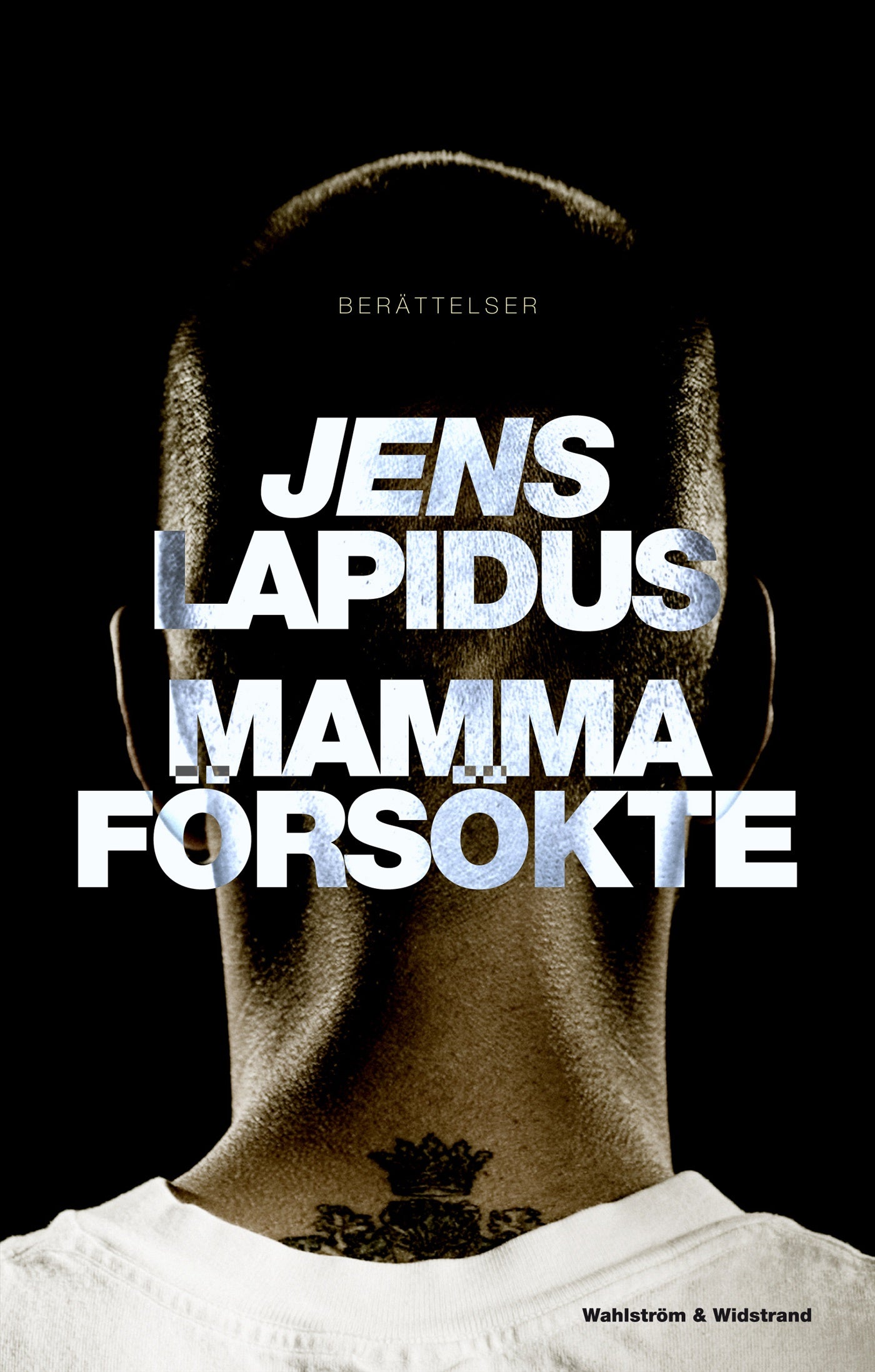 Mamma försökte – E-bok