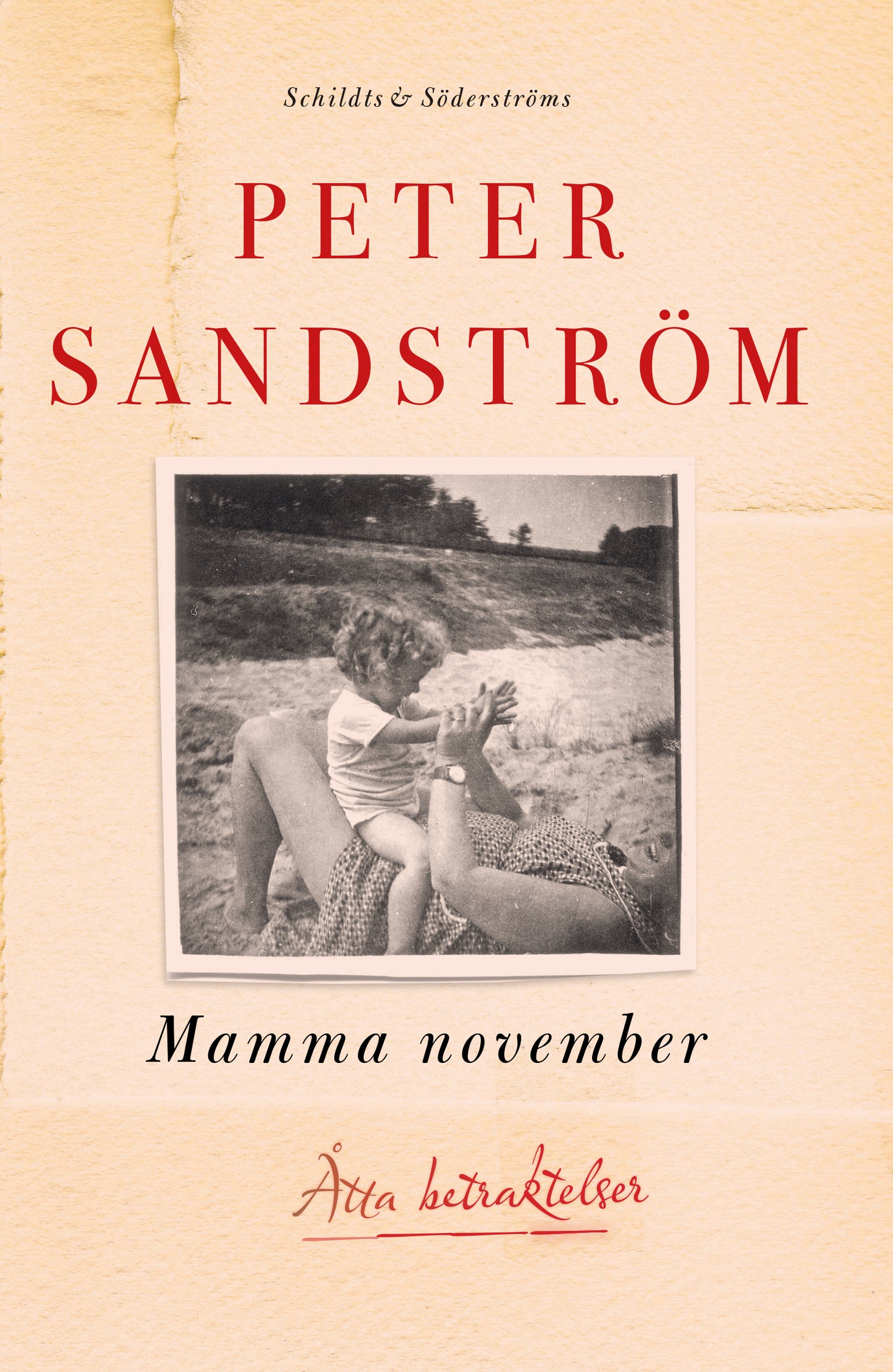 Mamma november – E-bok
