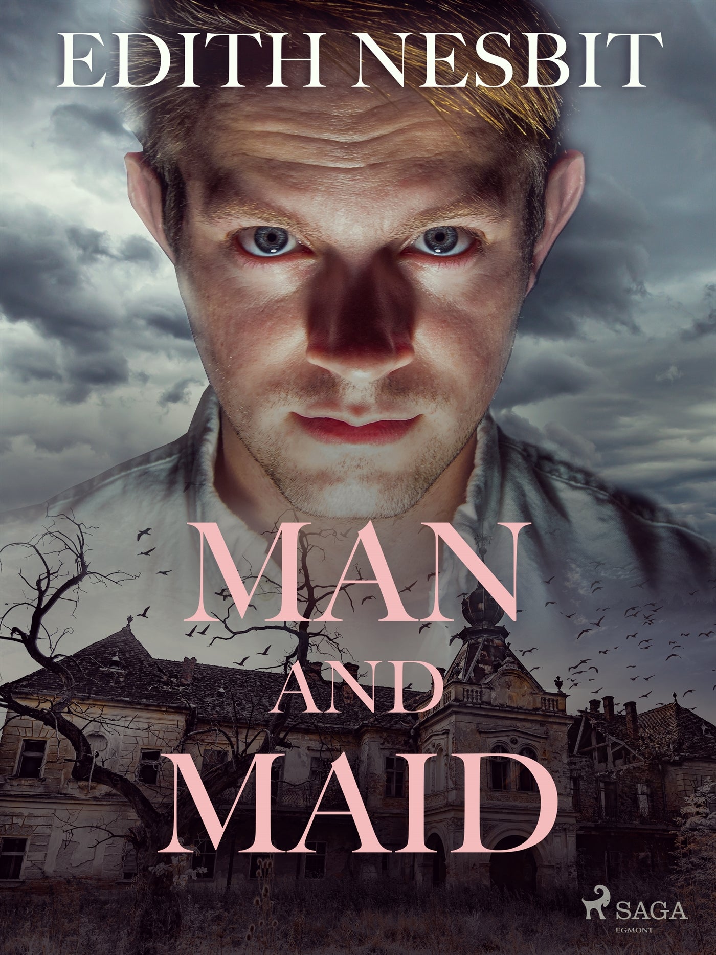 Man and Maid – E-bok