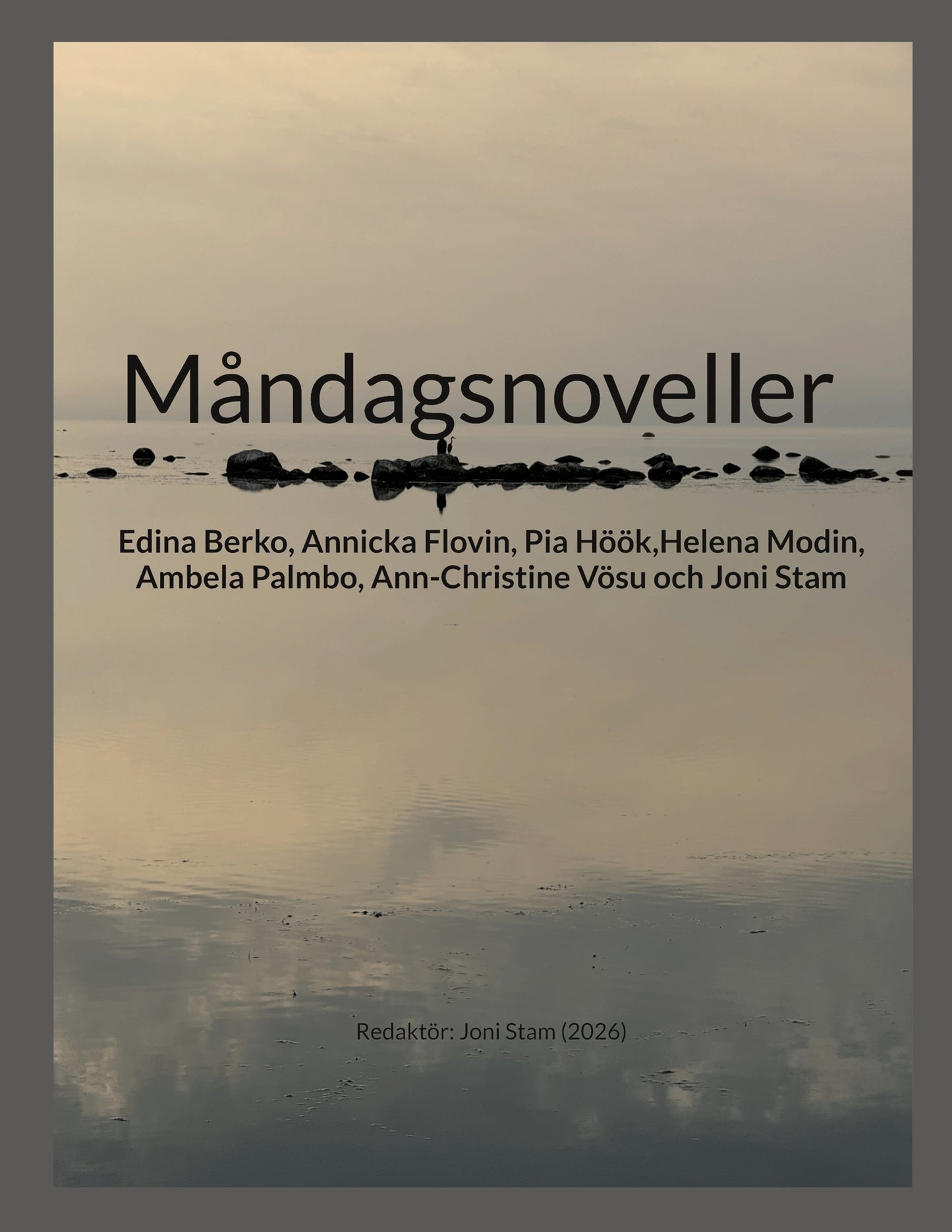 Måndagsnoveller: Novellkurs: Studieförbundet Vuxenskolan – E-bok