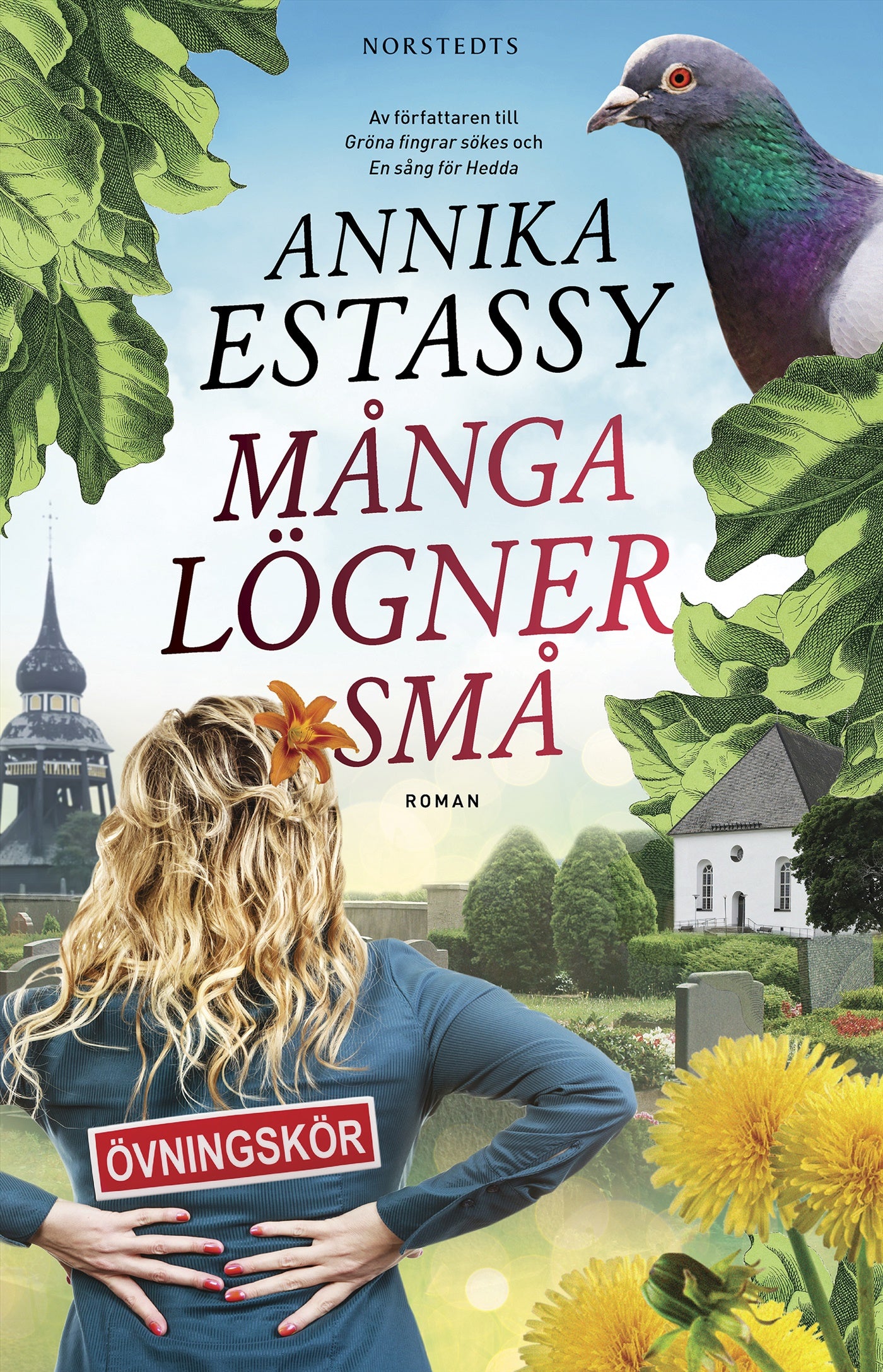 Många lögner små – E-bok