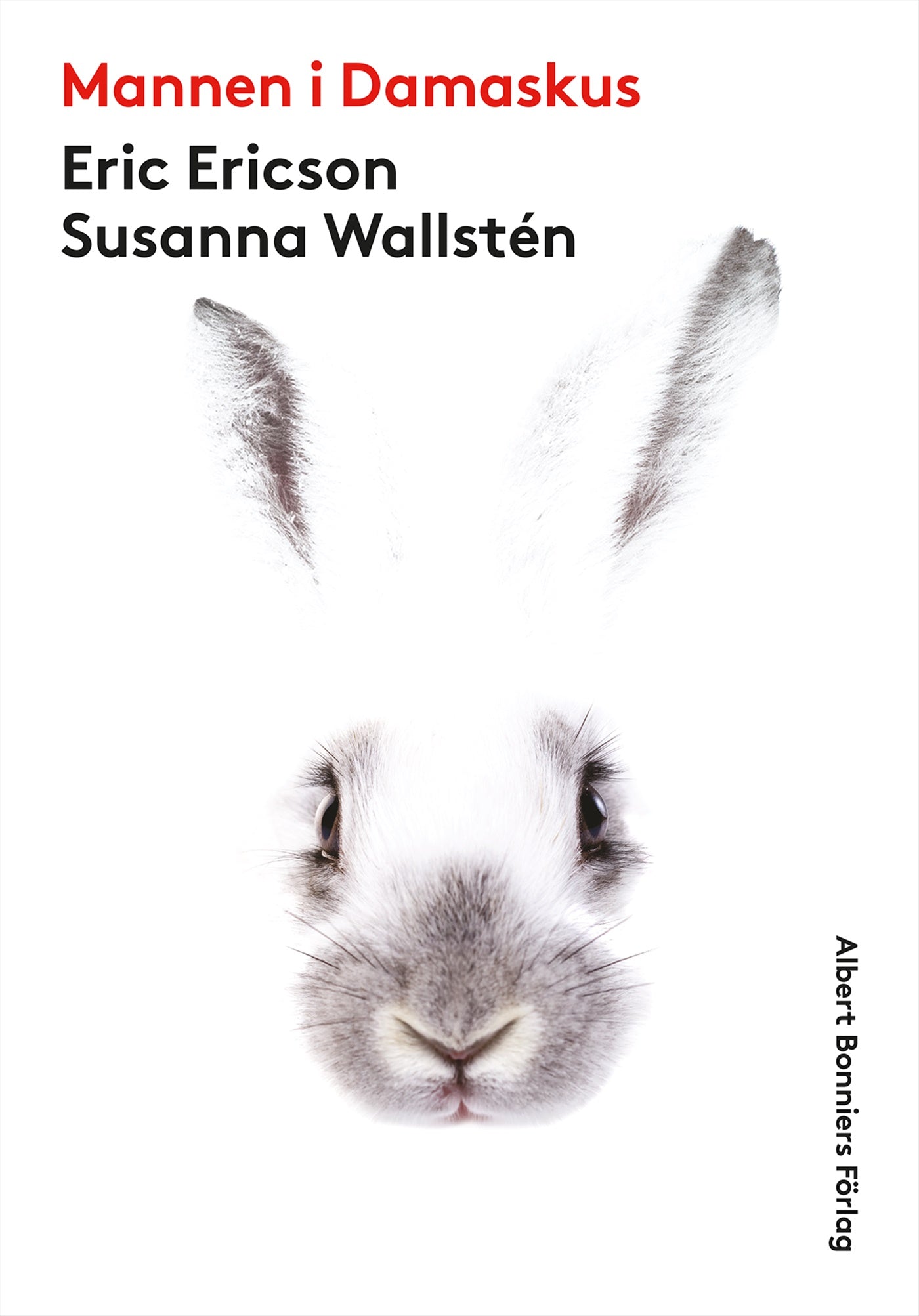 Mannen i Damaskus – E-bok