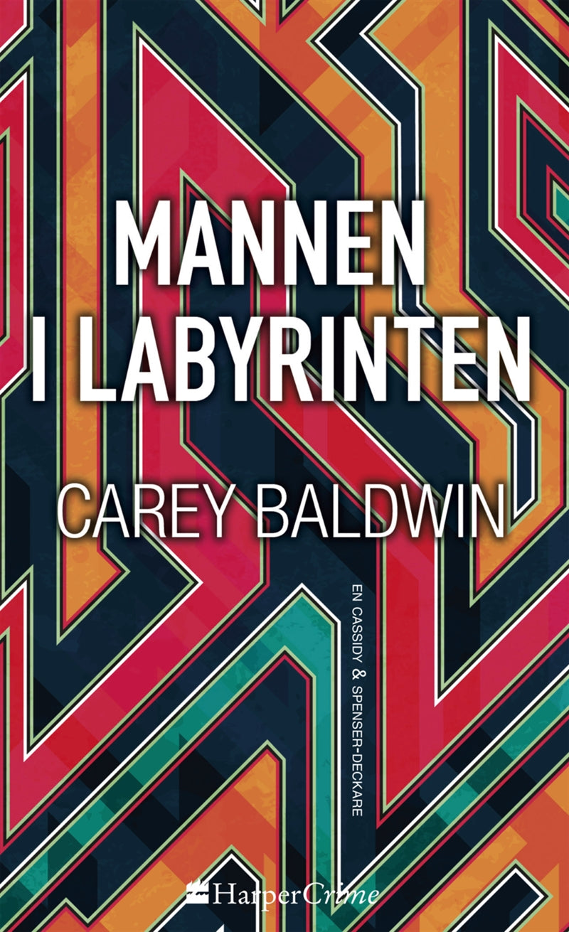Mannen i labyrinten – E-bok