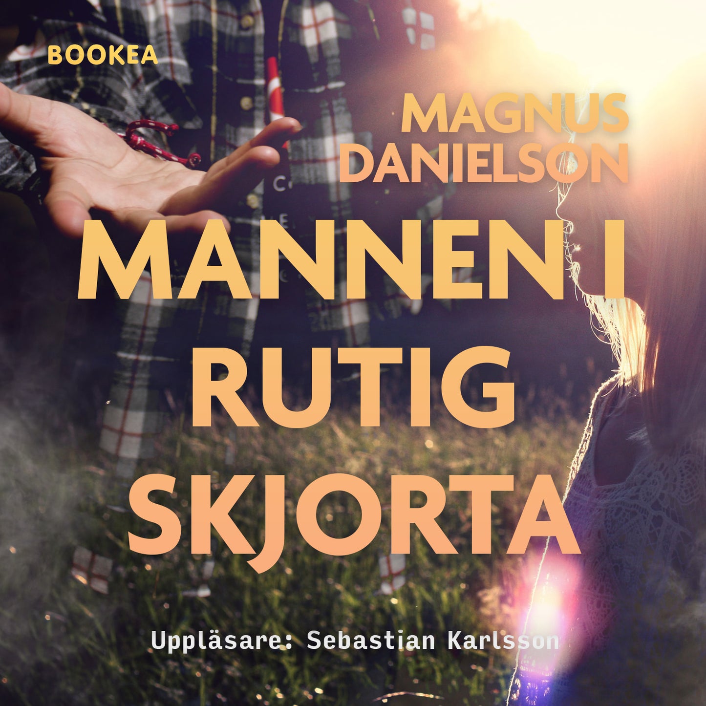 Mannen i rutig skjorta – Ljudbok