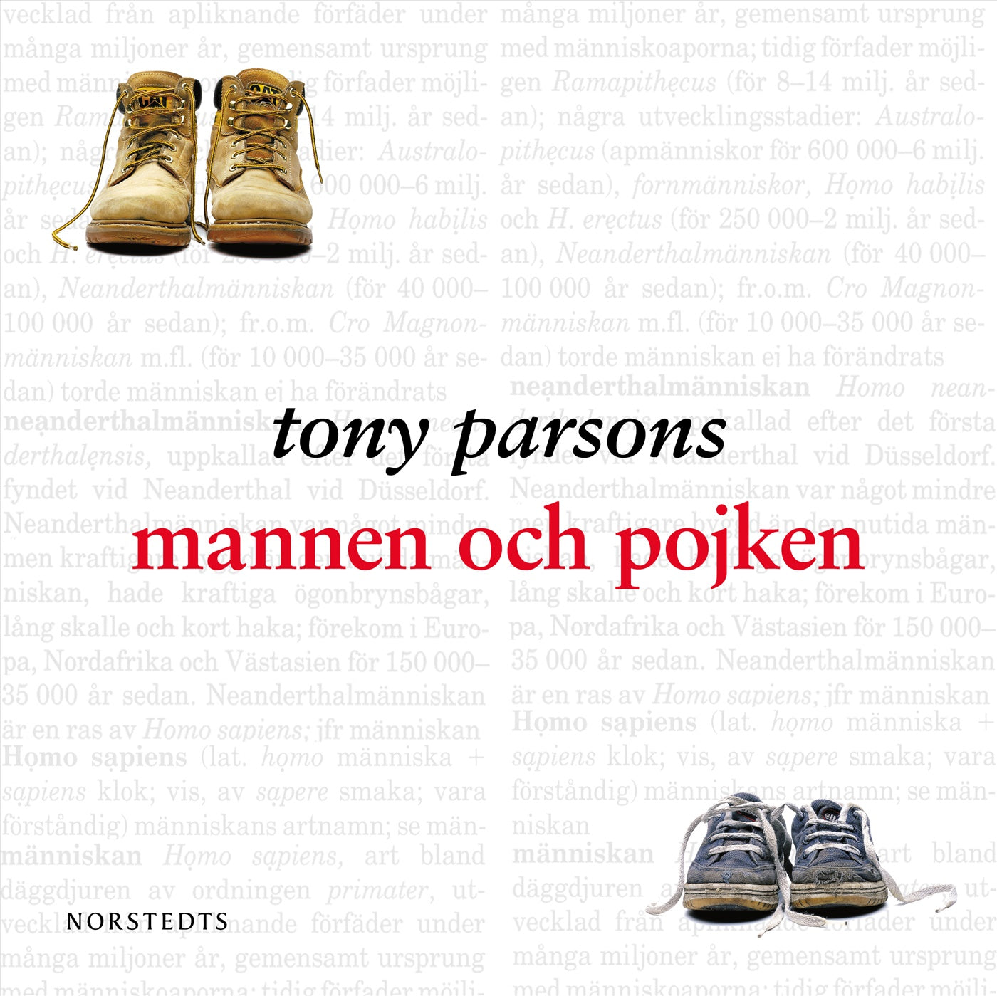 Mannen och pojken – Ljudbok