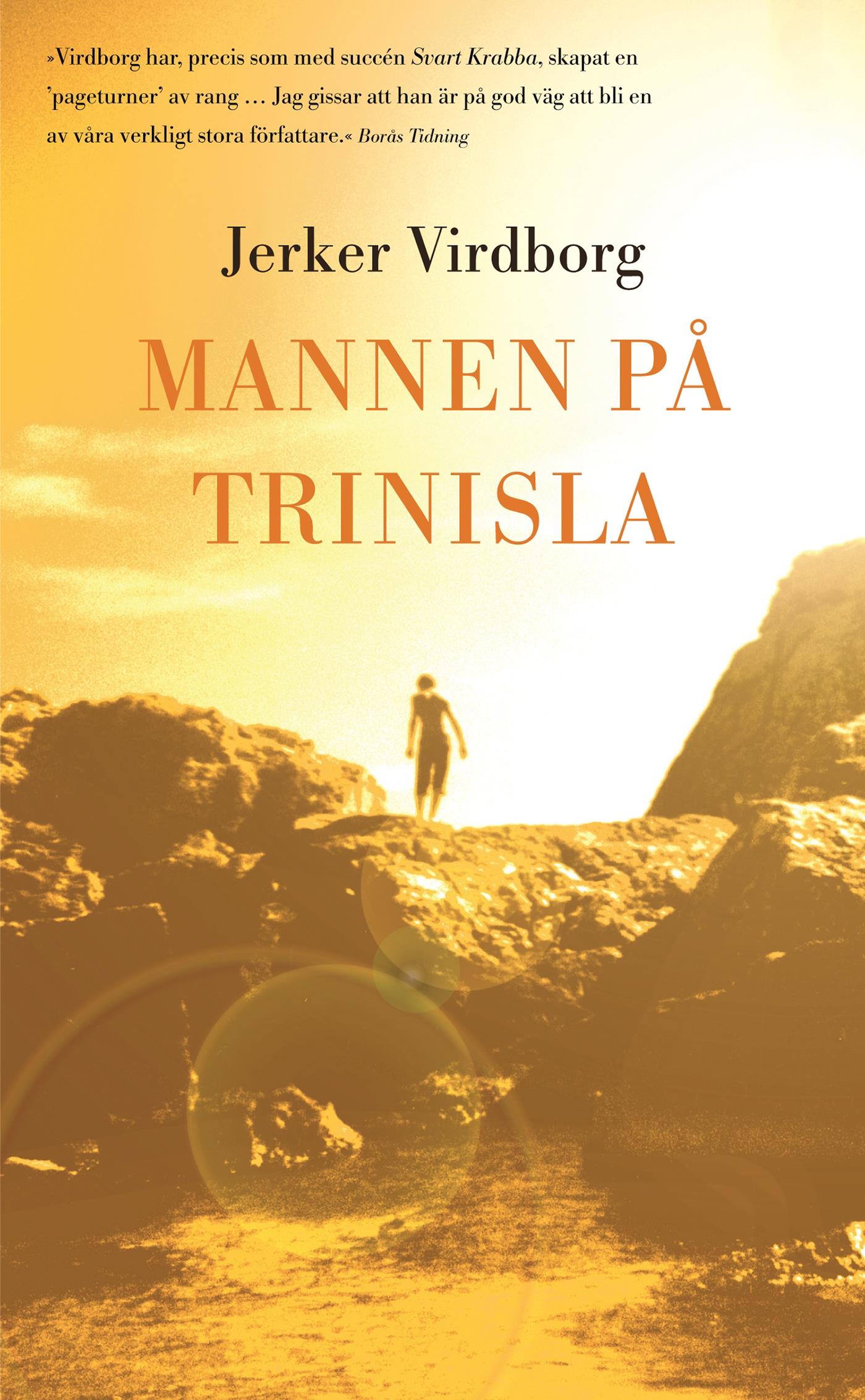 Mannen på Trinisla – E-bok