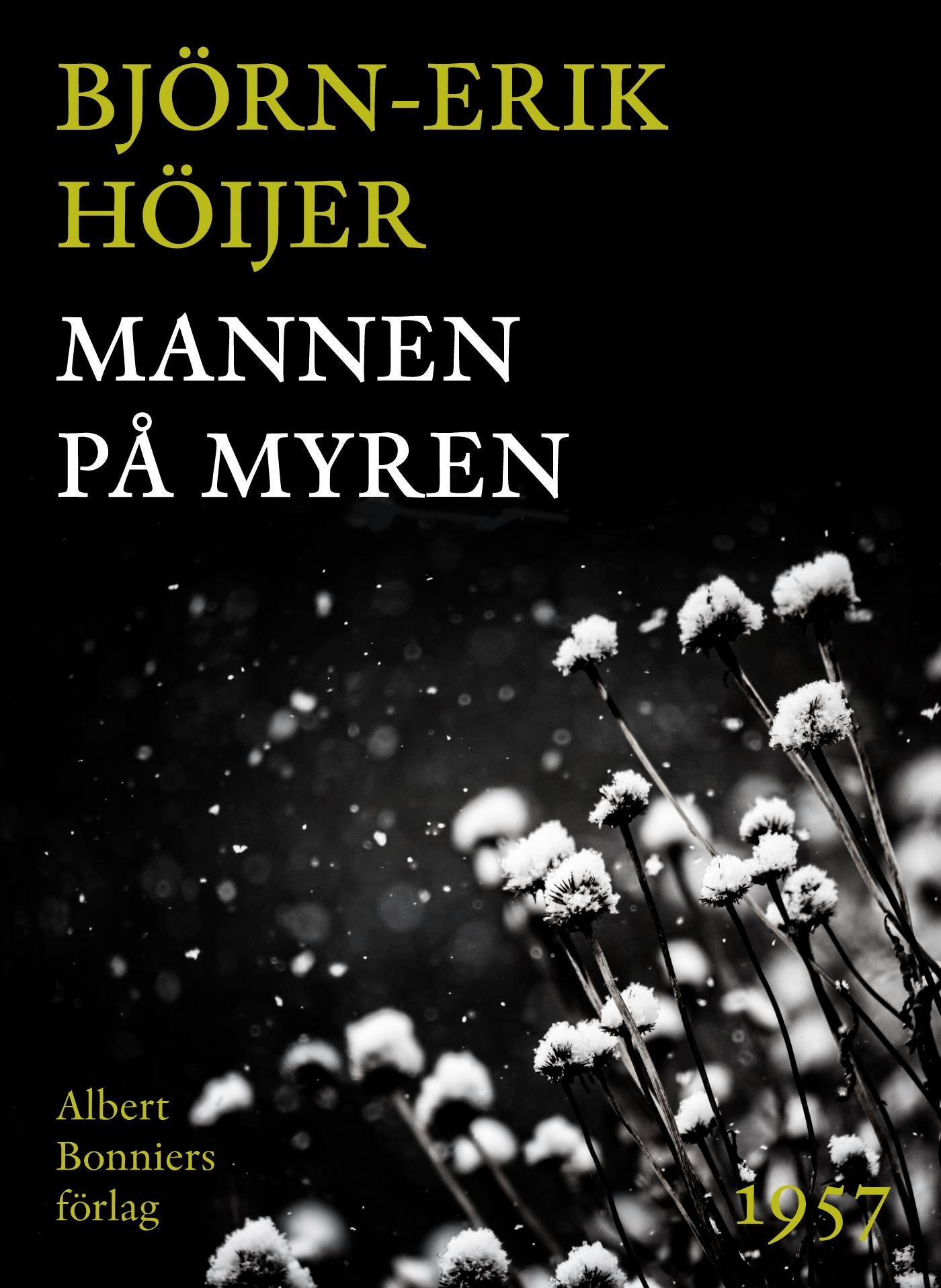 Mannen på myren – E-bok