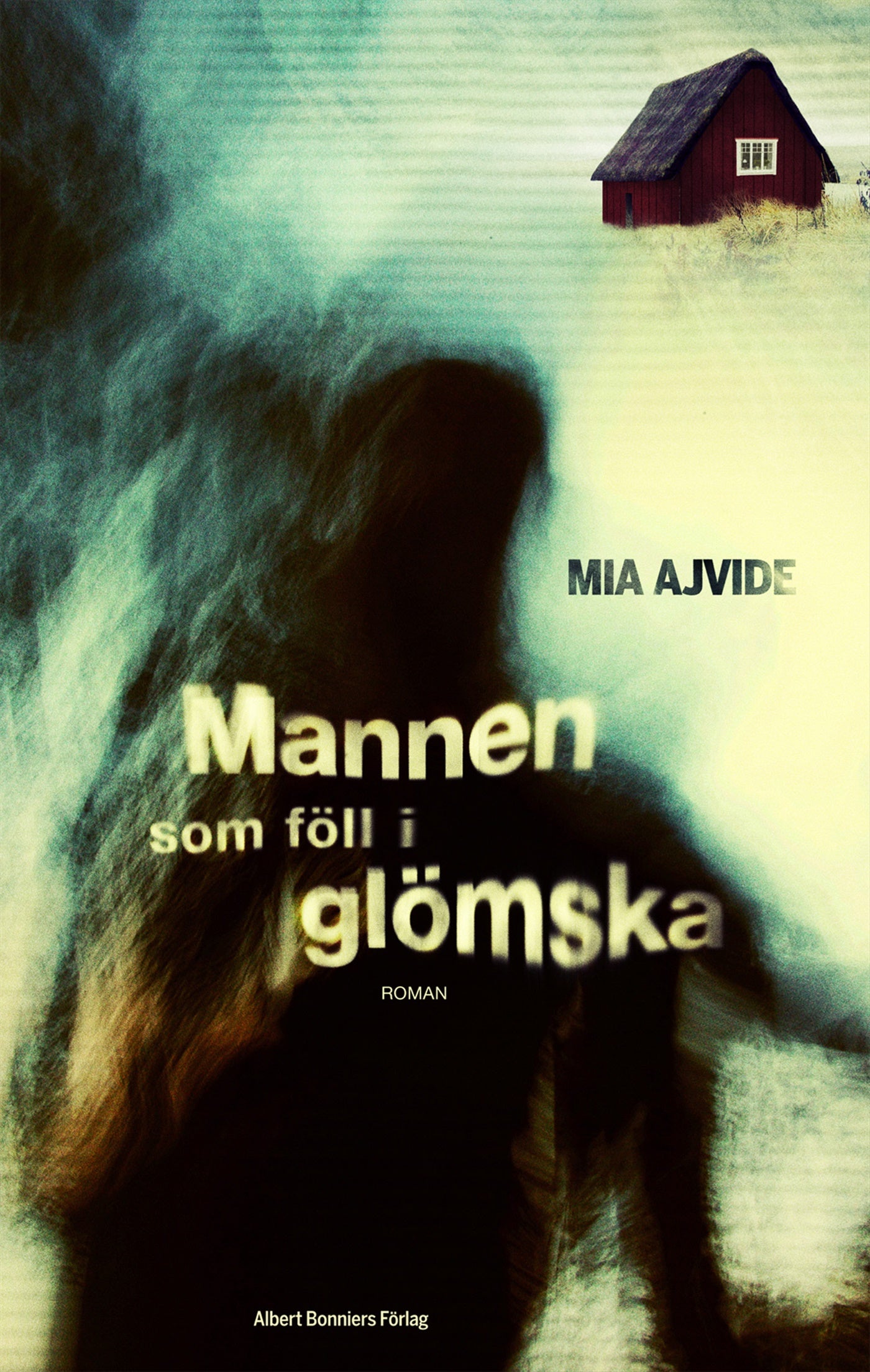 Mannen som föll i glömska – E-bok