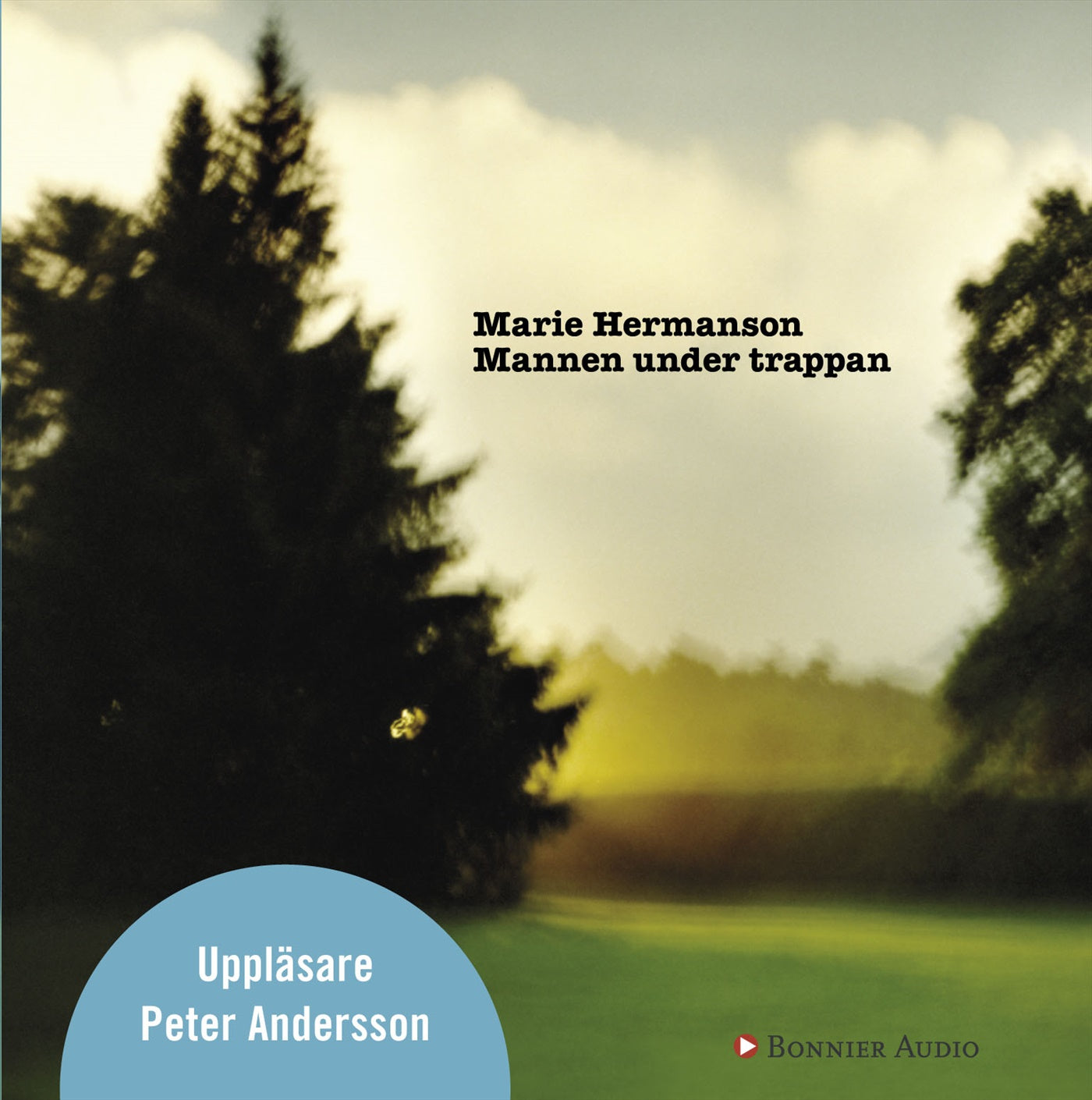 Mannen under trappan – Ljudbok