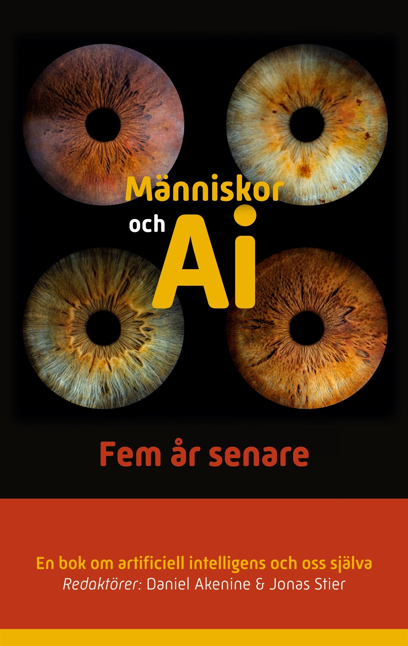 Människor och AI: Fem år senare – E-bok