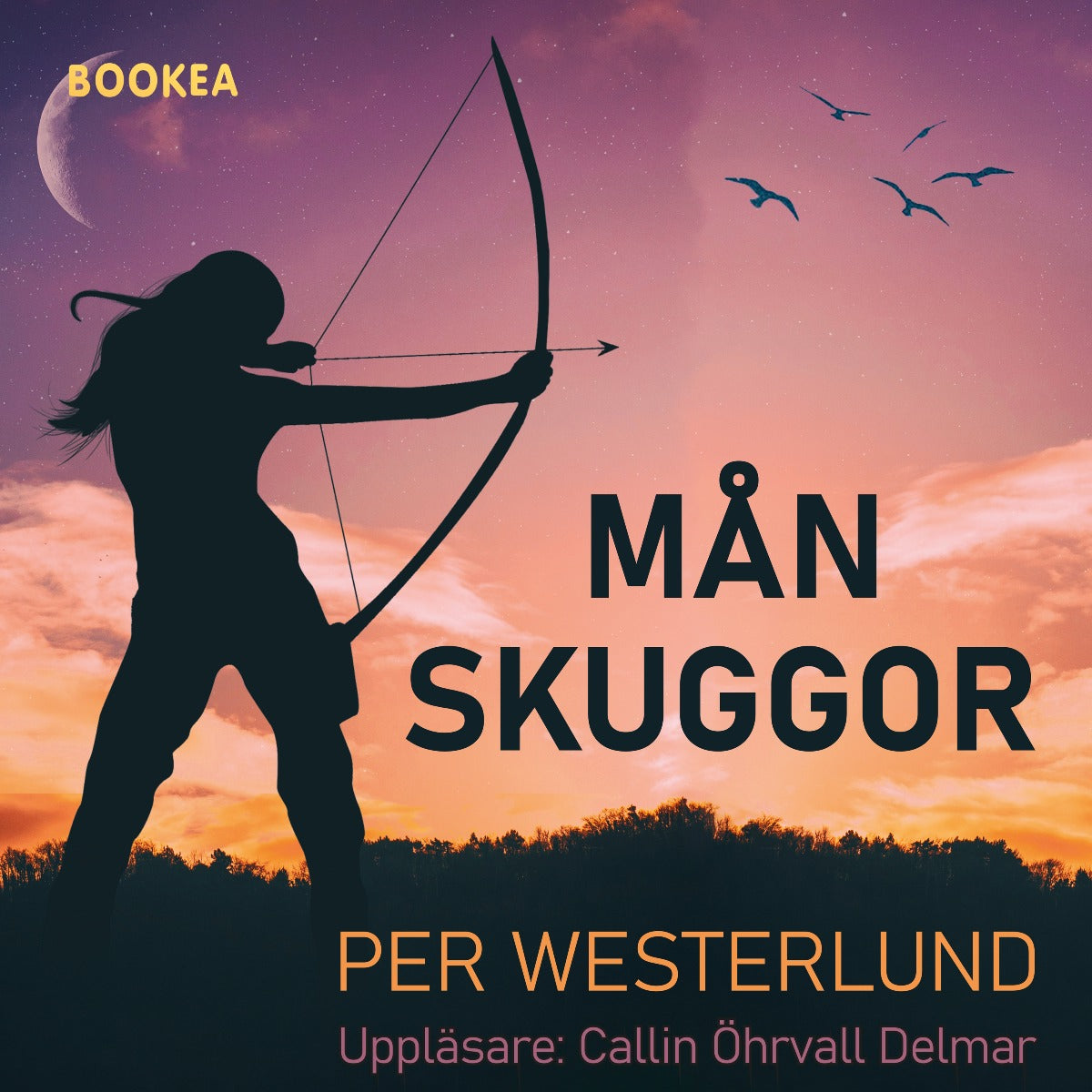Månskuggor – Ljudbok