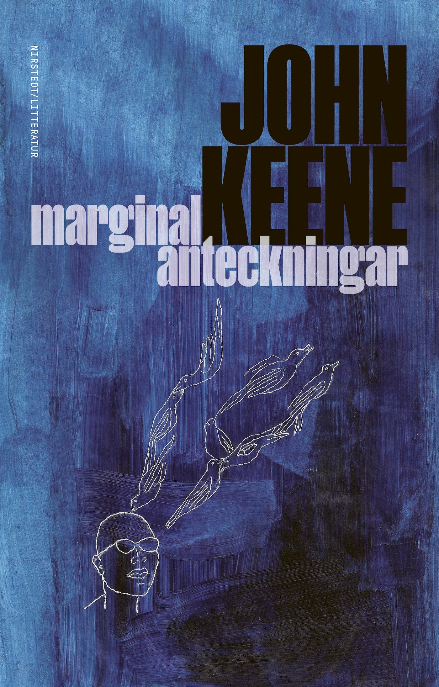 Marginalanteckningar – E-bok