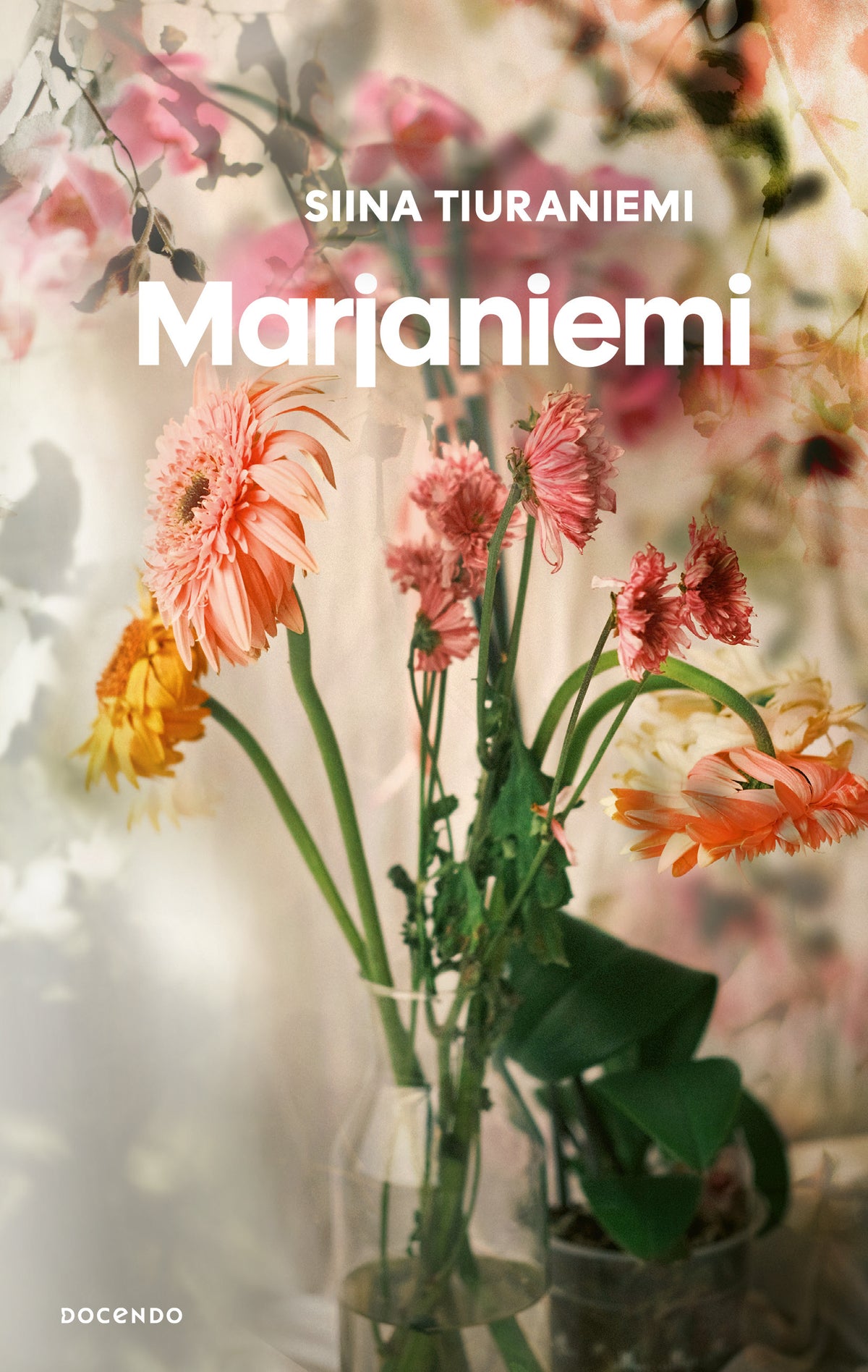 Marjaniemi – E-bok